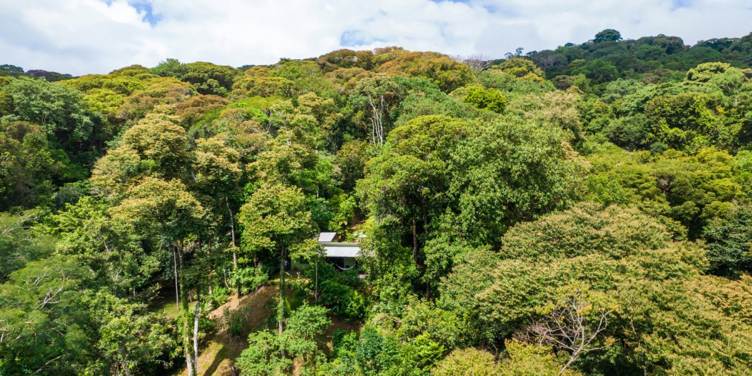 DiegoMora_Lagunas_print-052 Great Retreat or Family Compound Property with Multiple Units, Perfect for Wellness Retreat Business in Lagunas near Dominical Costa Rica