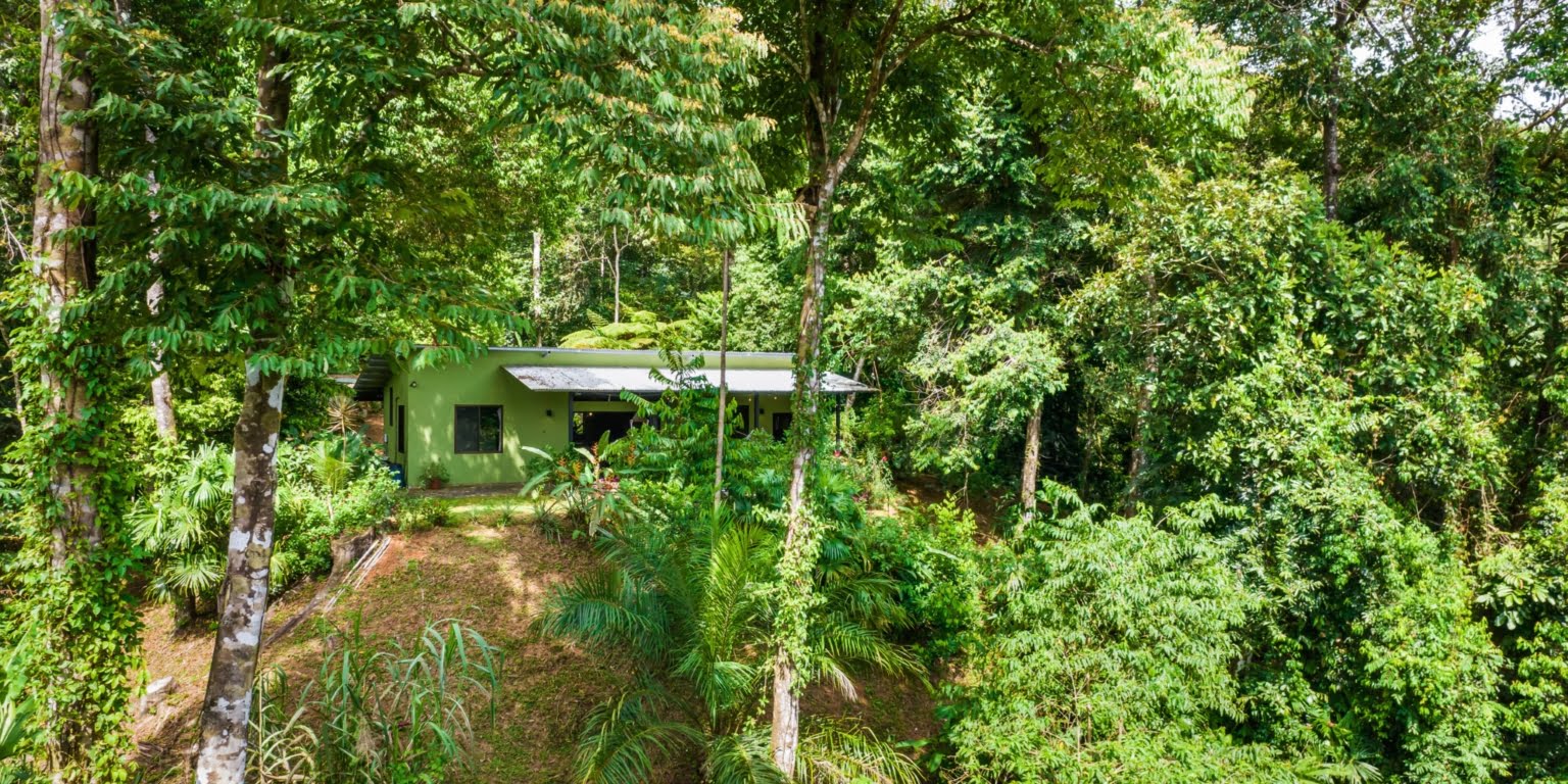 DiegoMora_Lagunas_print-050 Great Retreat or Family Compound Property with Multiple Units, Perfect for Wellness Retreat Business in Lagunas near Dominical Costa Rica