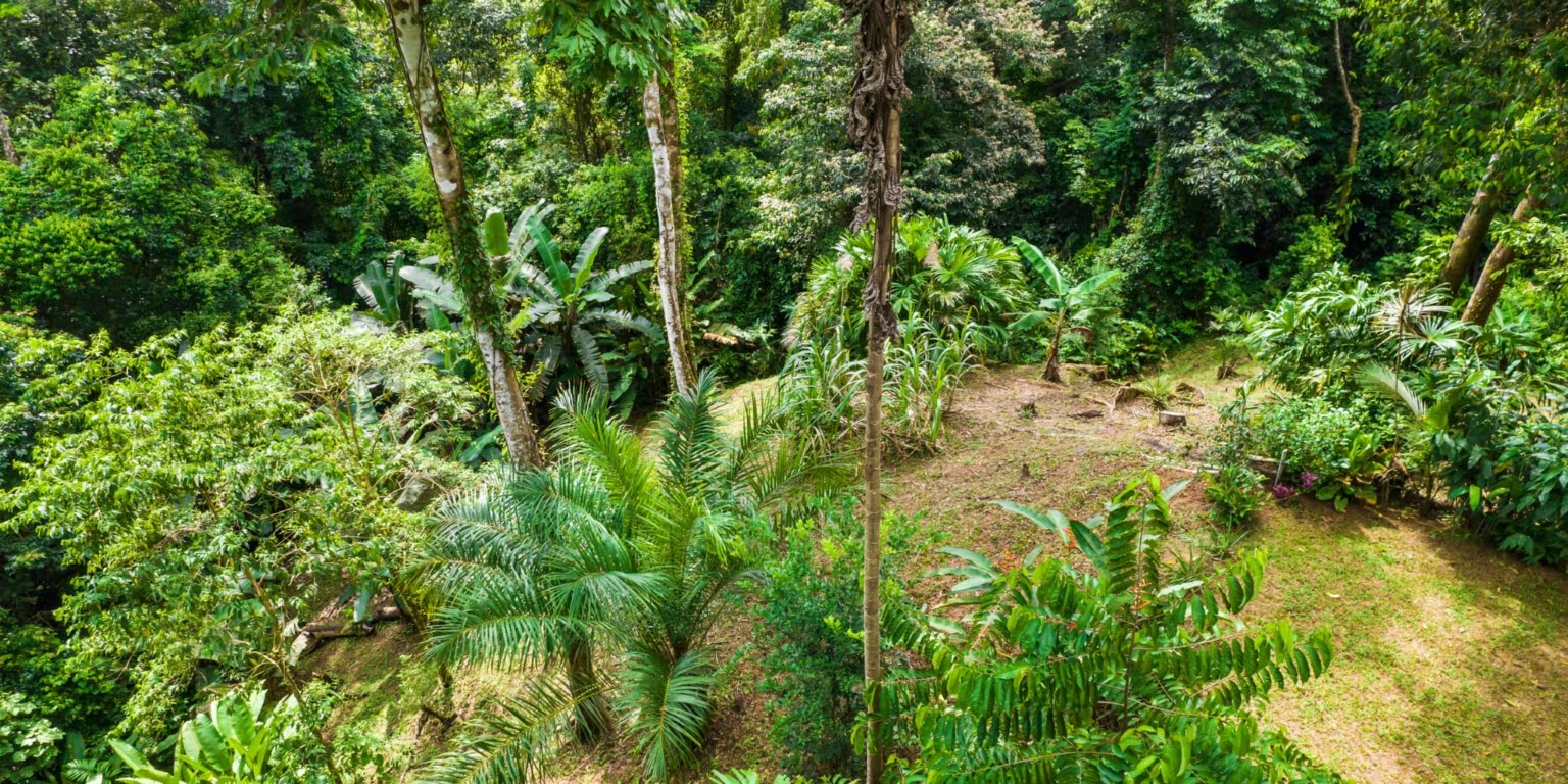 DiegoMora_Lagunas_print-048 Great Retreat or Family Compound Property with Multiple Units, Perfect for Wellness Retreat Business in Lagunas near Dominical Costa Rica