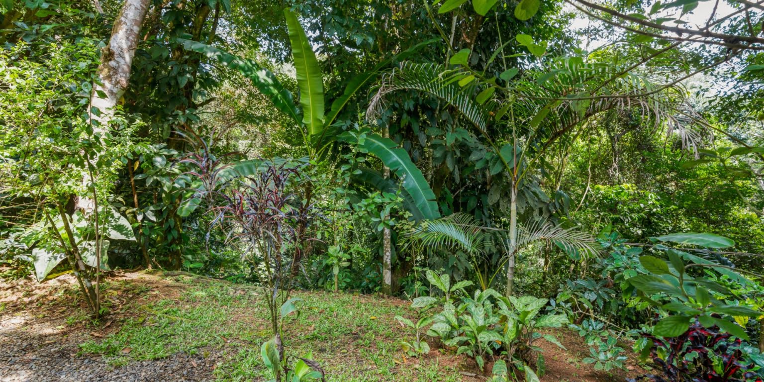 DiegoMora_Lagunas_print-027 Great Retreat or Family Compound Property with Multiple Units, Perfect for Wellness Retreat Business in Lagunas near Dominical Costa Rica