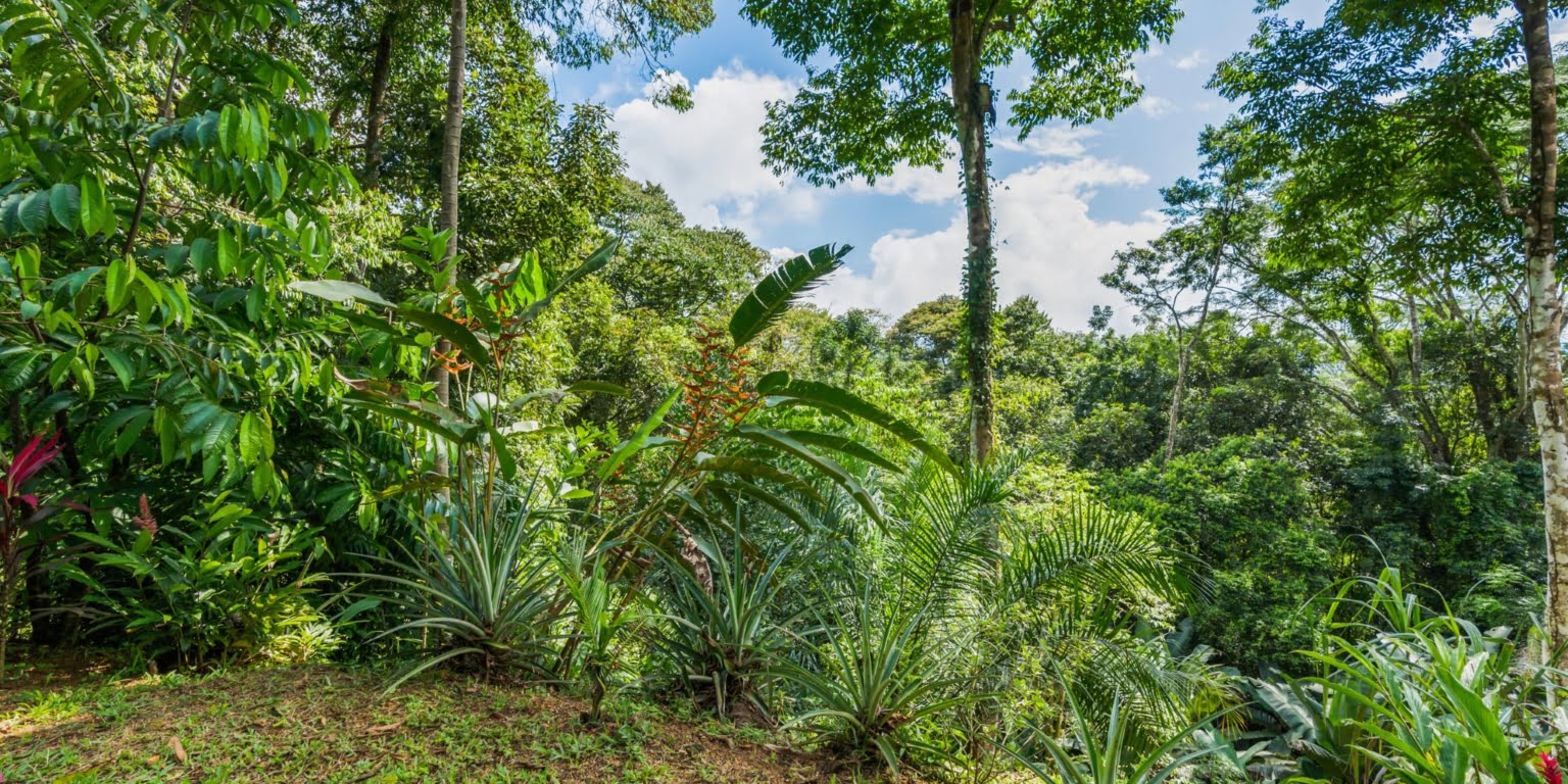 DiegoMora_Lagunas_print-026 Great Retreat or Family Compound Property with Multiple Units, Perfect for Wellness Retreat Business in Lagunas near Dominical Costa Rica