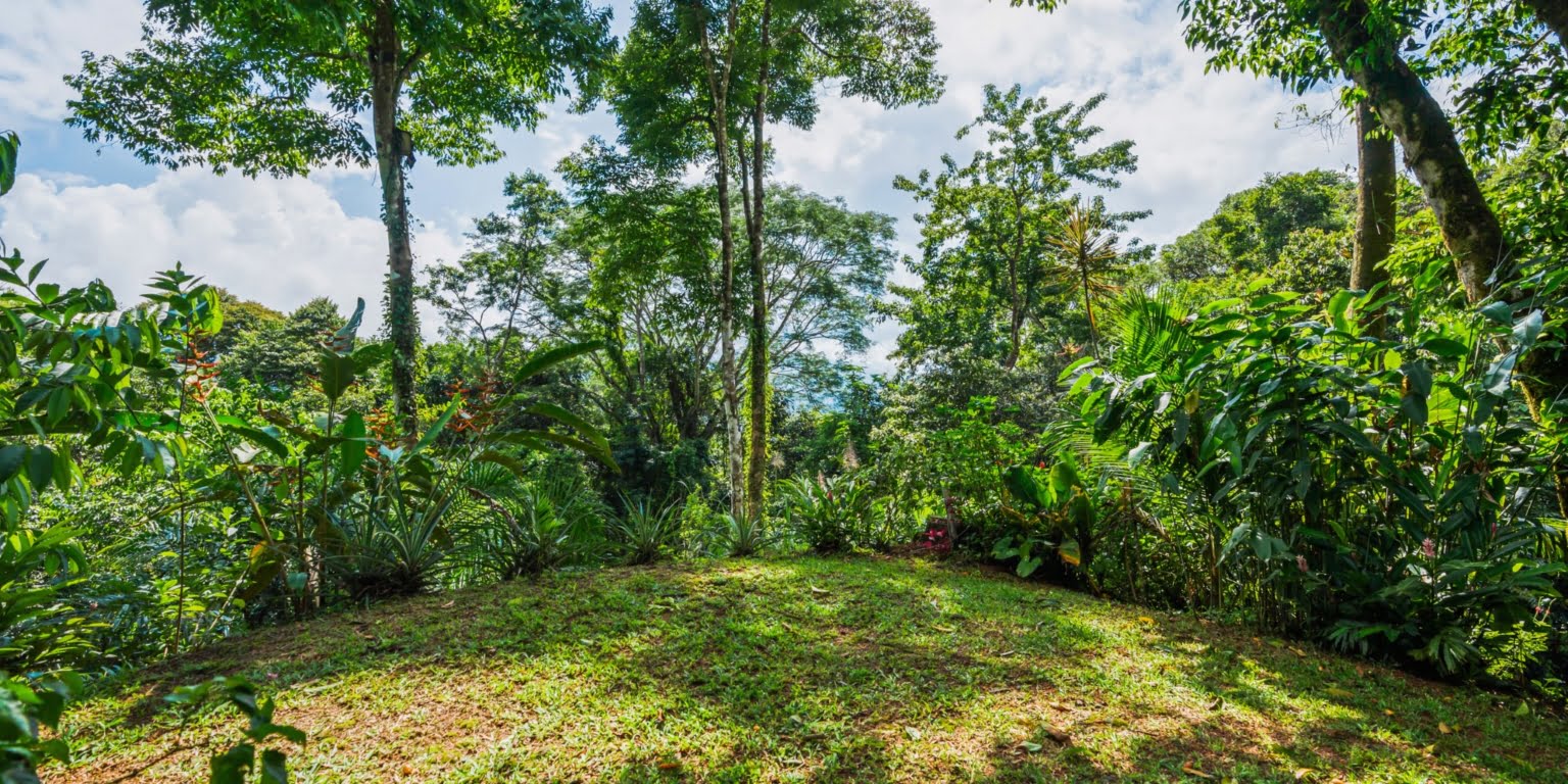 DiegoMora_Lagunas_print-025 Great Retreat or Family Compound Property with Multiple Units, Perfect for Wellness Retreat Business in Lagunas near Dominical Costa Rica