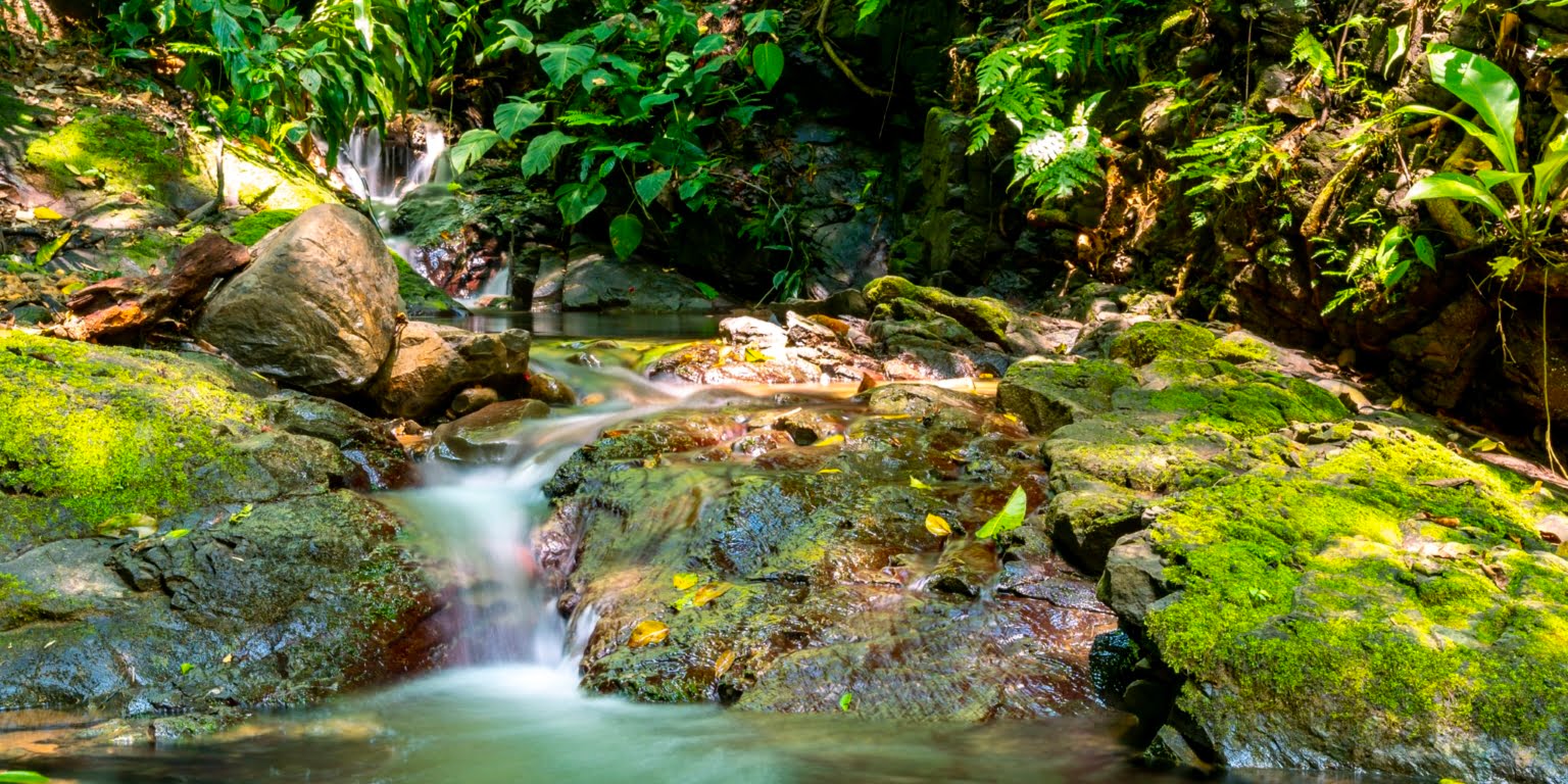 DiegoMora_Lagunas_print-056 Great Retreat or Family Compound Property with Multiple Units, Perfect for Wellness Retreat Business in Lagunas near Dominical Costa Rica