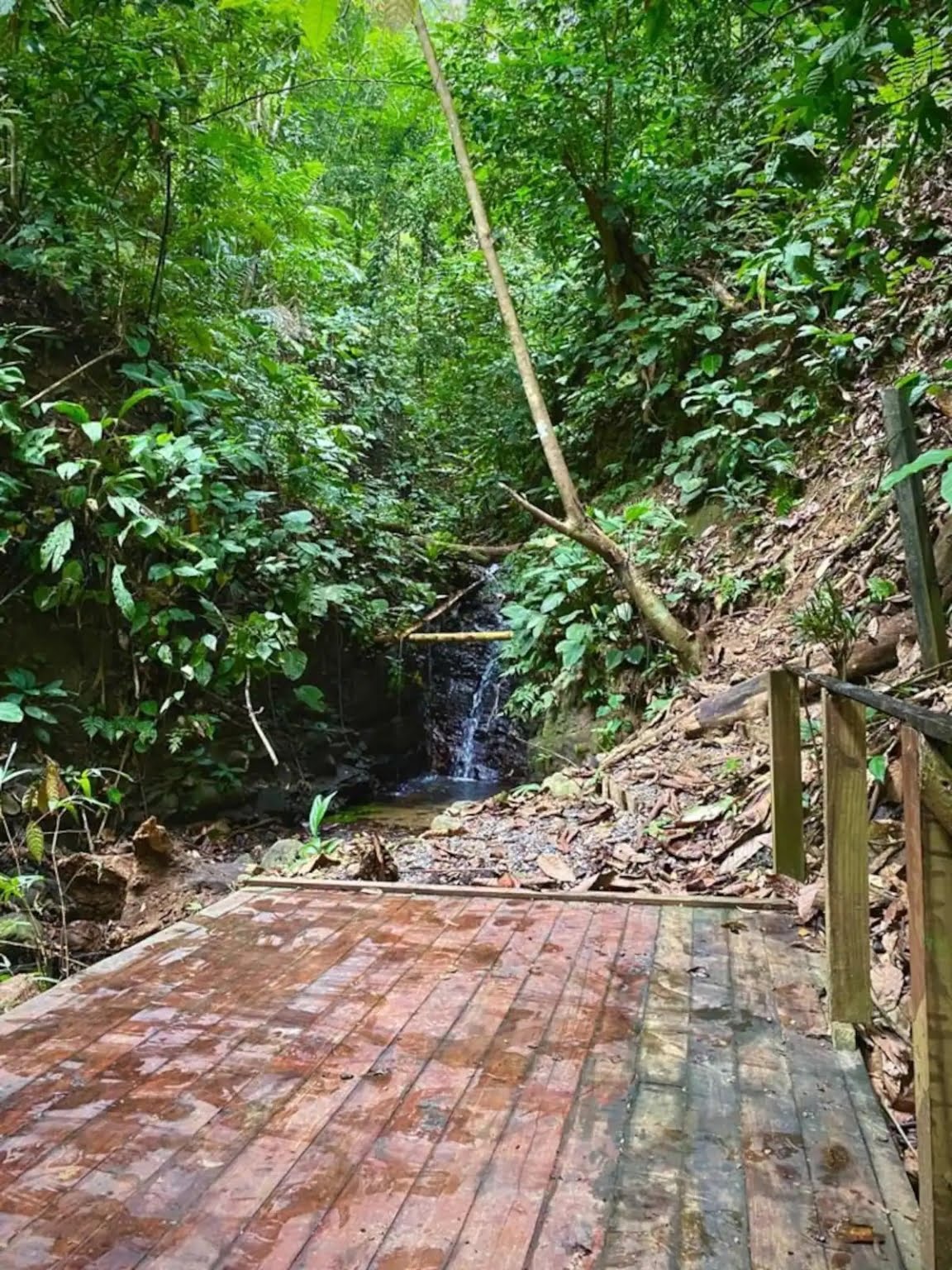 bc522f9f-a810-4cc0-8519-e979d2ae3d0d Custom Ocean View 3-Bedroom Home with Tranquil Setting & Pool in Ojochal Costa Rica