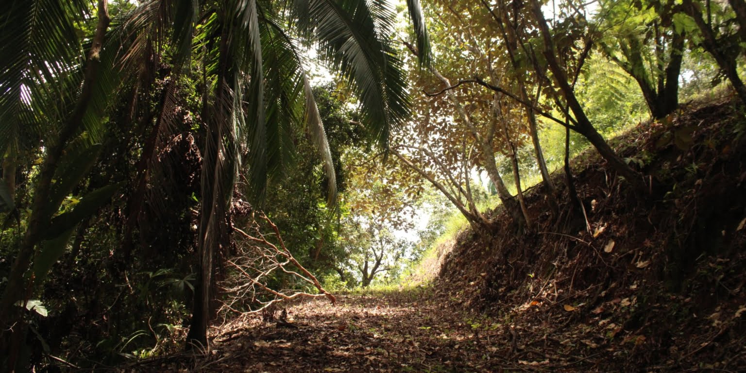 IMG_1682 Income Producing, Multi-Unit Property with Ocean View Close to Beach in Hatillo near Dominical Costa Rica