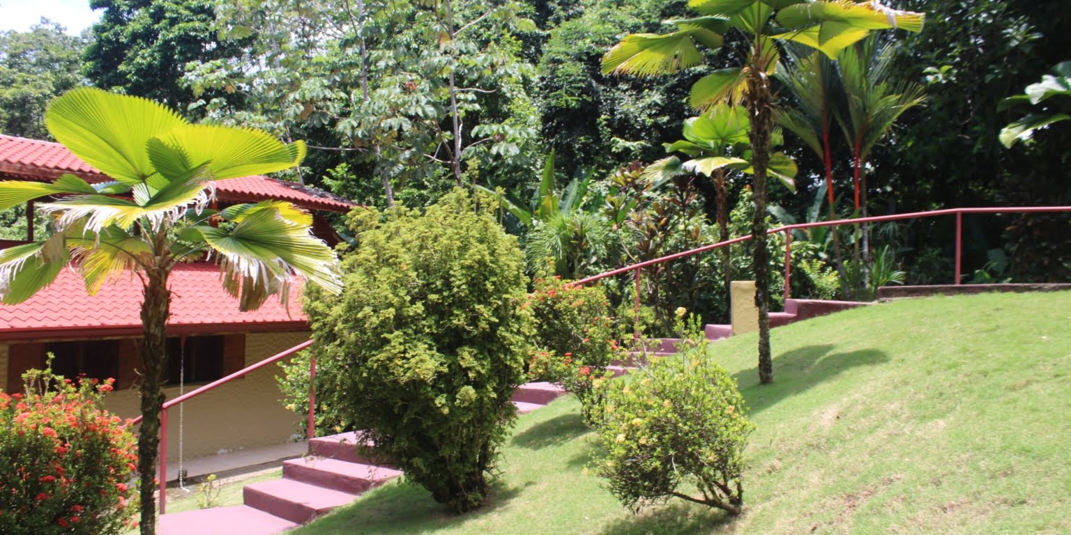 IMG_1656 Income Producing, Multi-Unit Property with Ocean View Close to Beach in Hatillo near Dominical Costa Rica