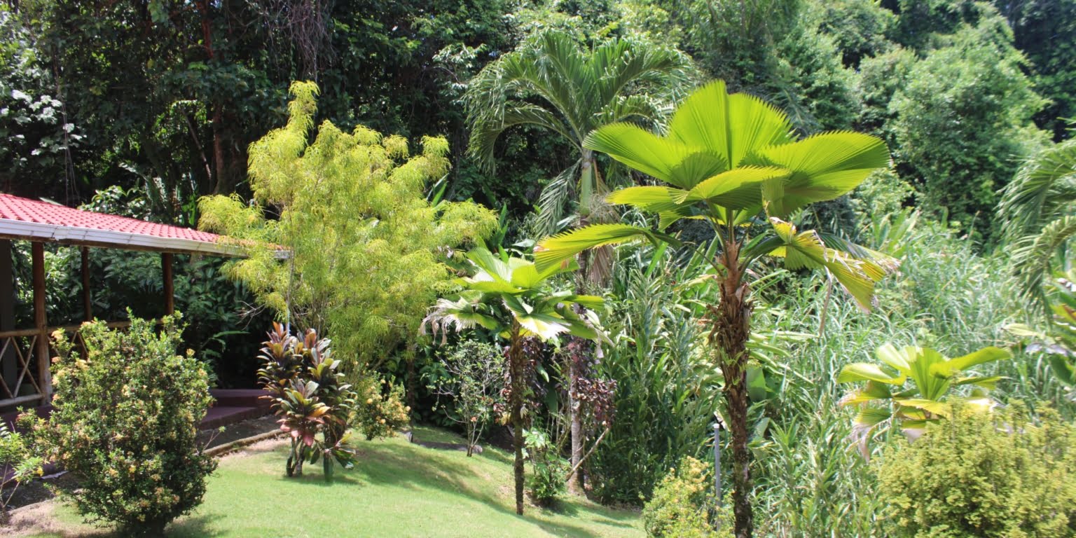 IMG_1645 Income Producing, Multi-Unit Property with Ocean View Close to Beach in Hatillo near Dominical Costa Rica