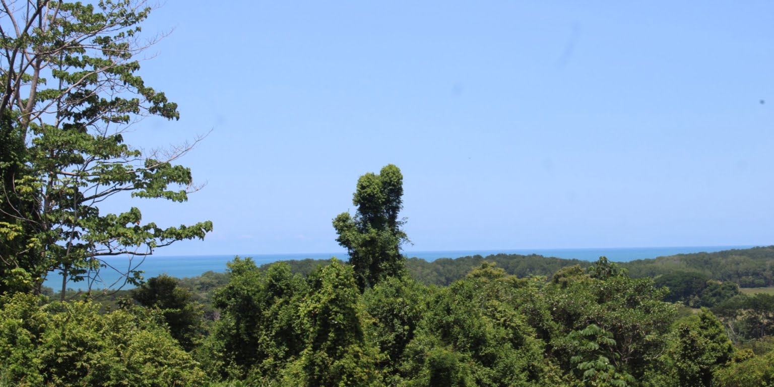 IMG_1474 Income Producing, Multi-Unit Property with Ocean View Close to Beach in Hatillo near Dominical Costa Rica