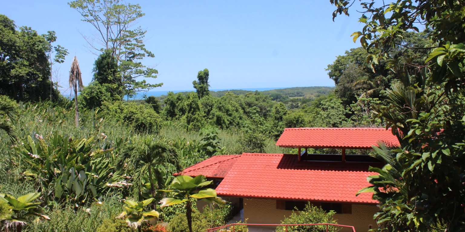 IMG_1473 Income Producing, Multi-Unit Property with Ocean View Close to Beach in Hatillo near Dominical Costa Rica