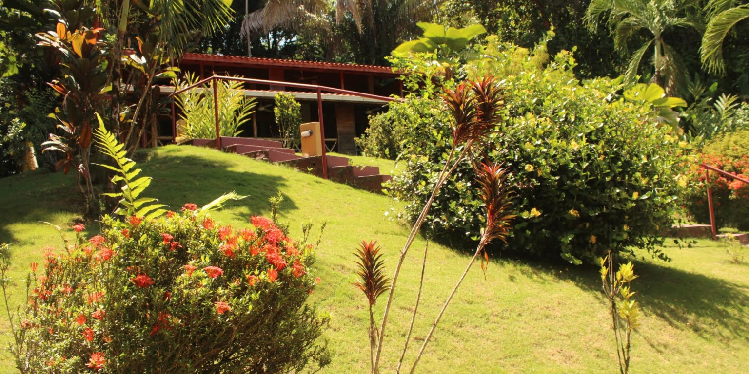 IMG_1342 Income Producing, Multi-Unit Property with Ocean View Close to Beach in Hatillo near Dominical Costa Rica