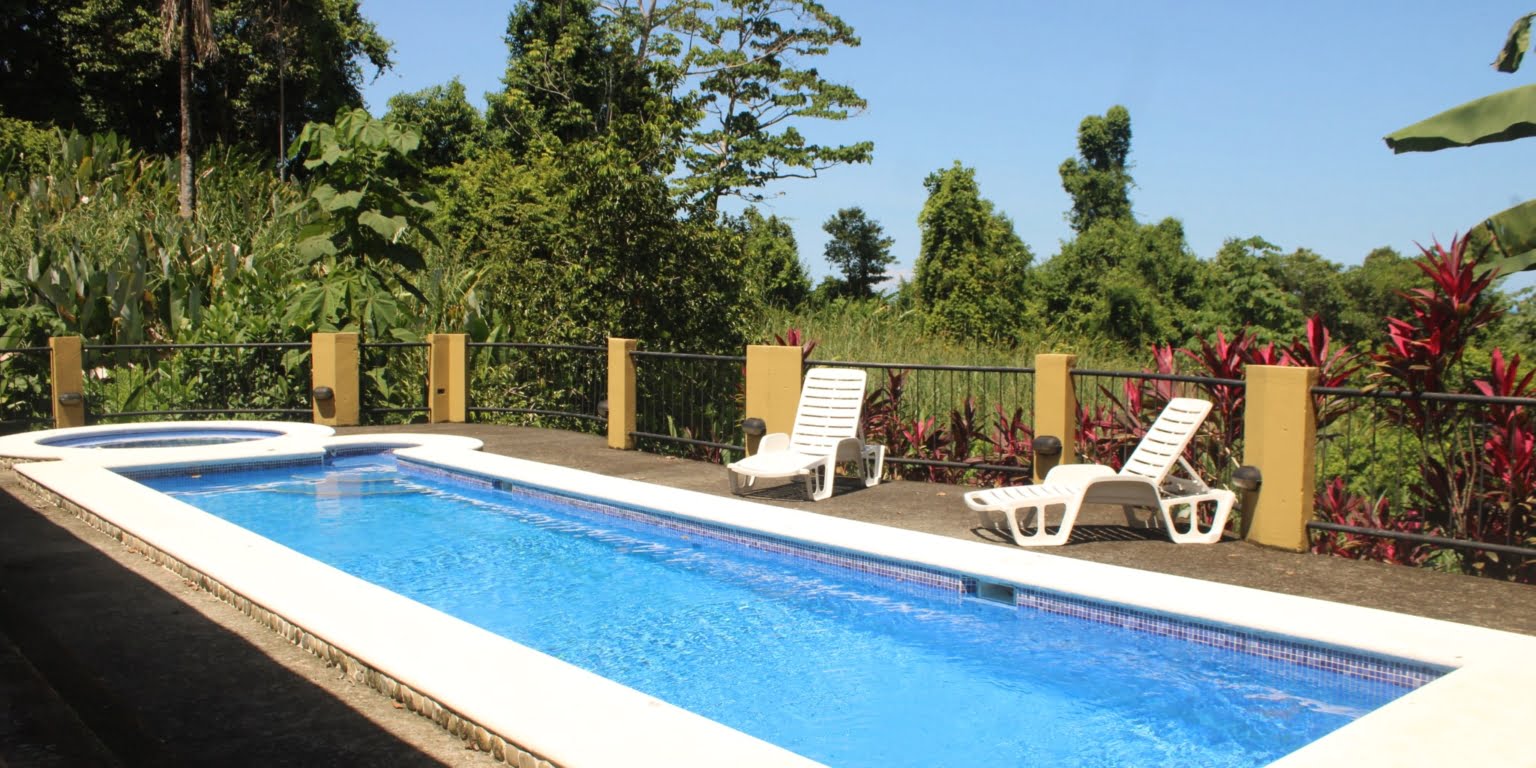 IMG_1339 Income Producing, Multi-Unit Property with Ocean View Close to Beach in Hatillo near Dominical Costa Rica
