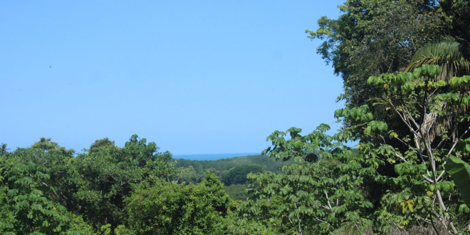 IMG_1296 Income Producing, Multi-Unit Property with Ocean View Close to Beach in Hatillo near Dominical Costa Rica