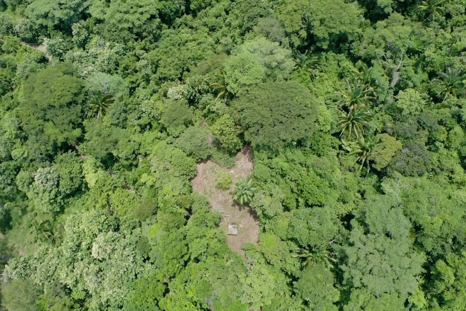 fgfgfgf Income Producing, Multi-Unit Property with Ocean View Close to Beach in Hatillo near Dominical Costa Rica