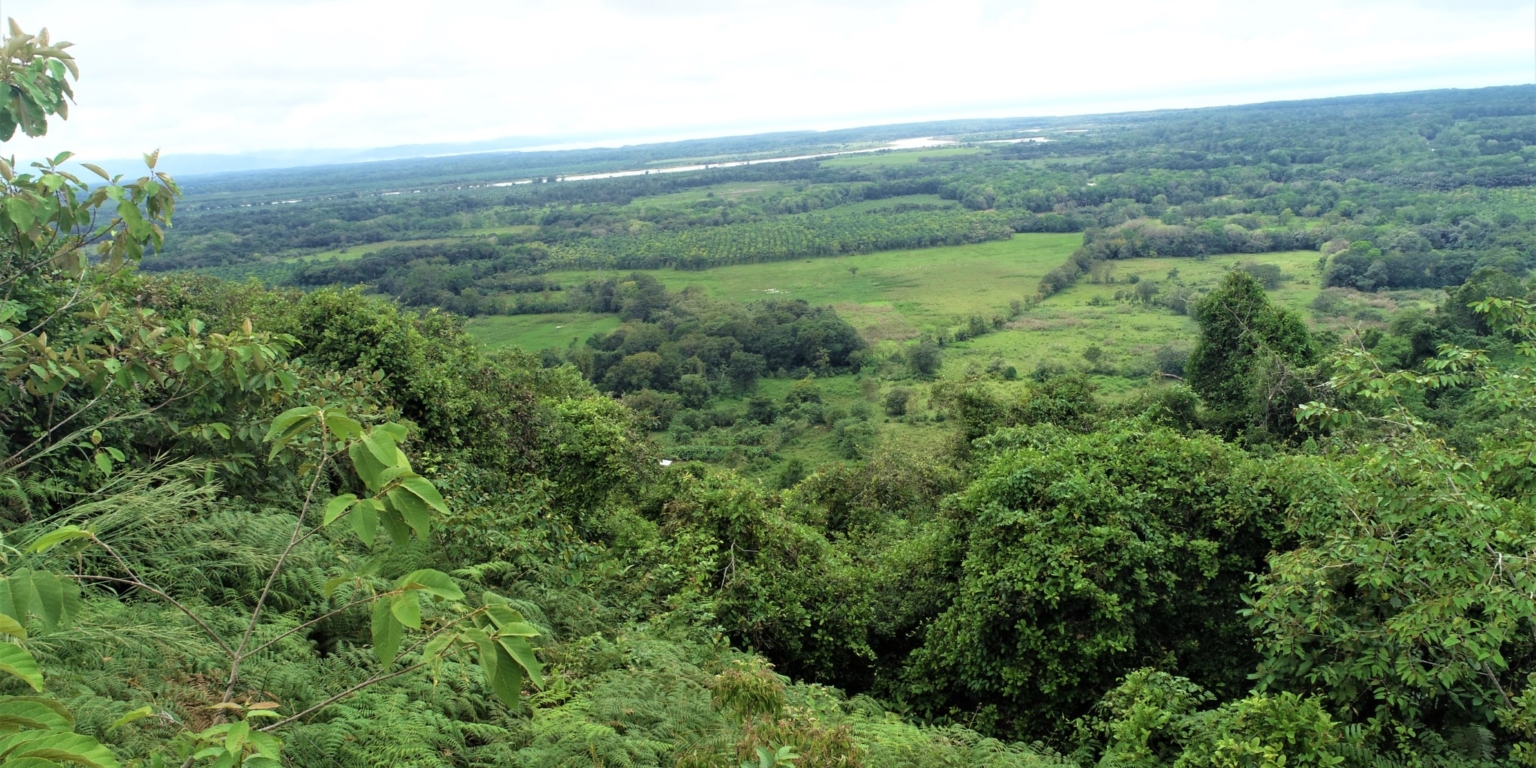 Expansive 9+ Acre Land with 360 Panoramic Views & Highway Frontage Perfect for Resort or Multiple Homes South of Ojochal Costa Rica