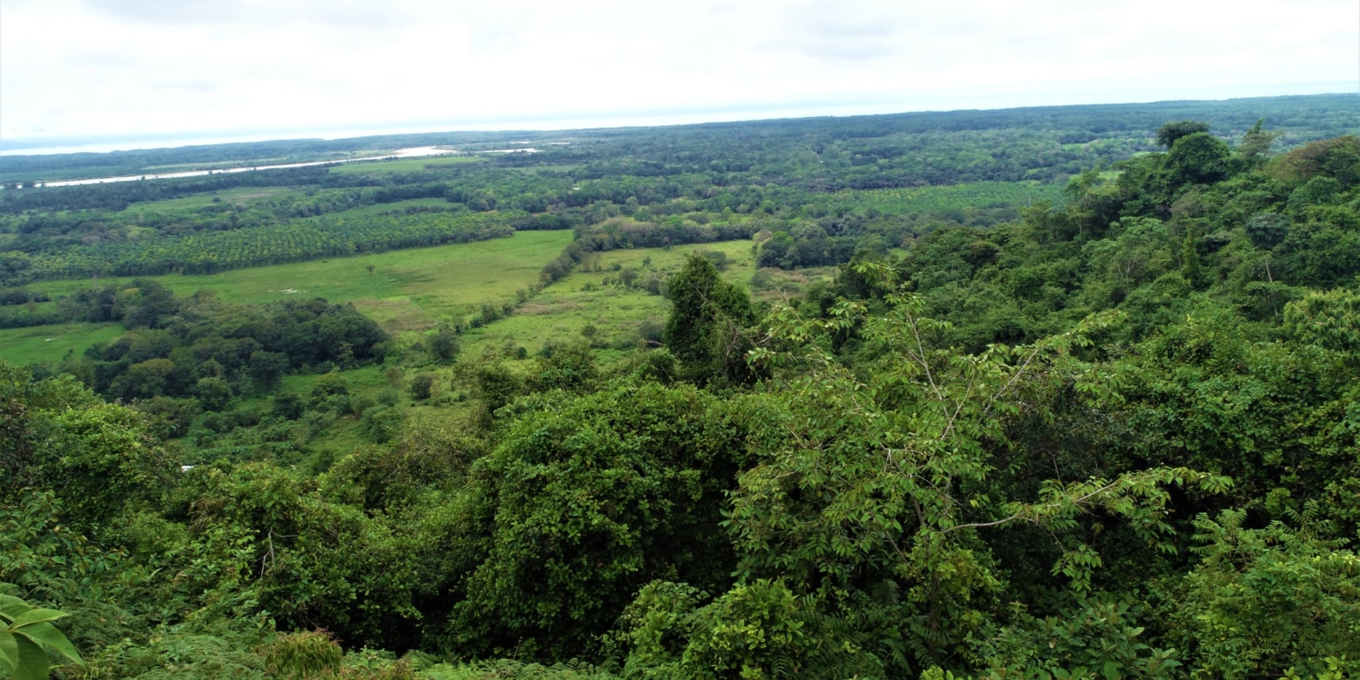 Expansive 9+ Acre Land with 360 Panoramic Views & Highway Frontage Perfect for Resort or Multiple Homes South of Ojochal Costa Rica