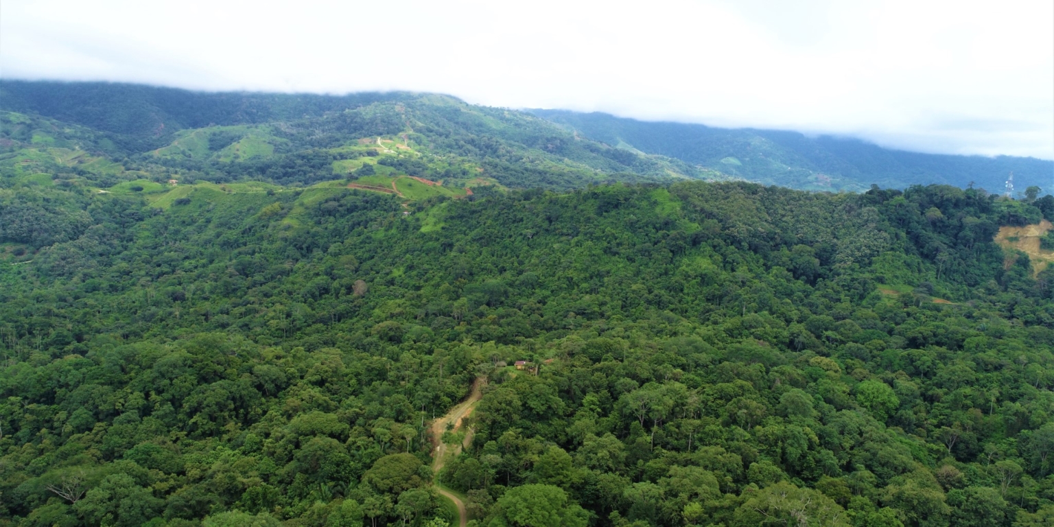 Expansive 9+ Acre Land with 360 Panoramic Views & Highway Frontage Perfect for Resort or Multiple Homes South of Ojochal Costa Rica