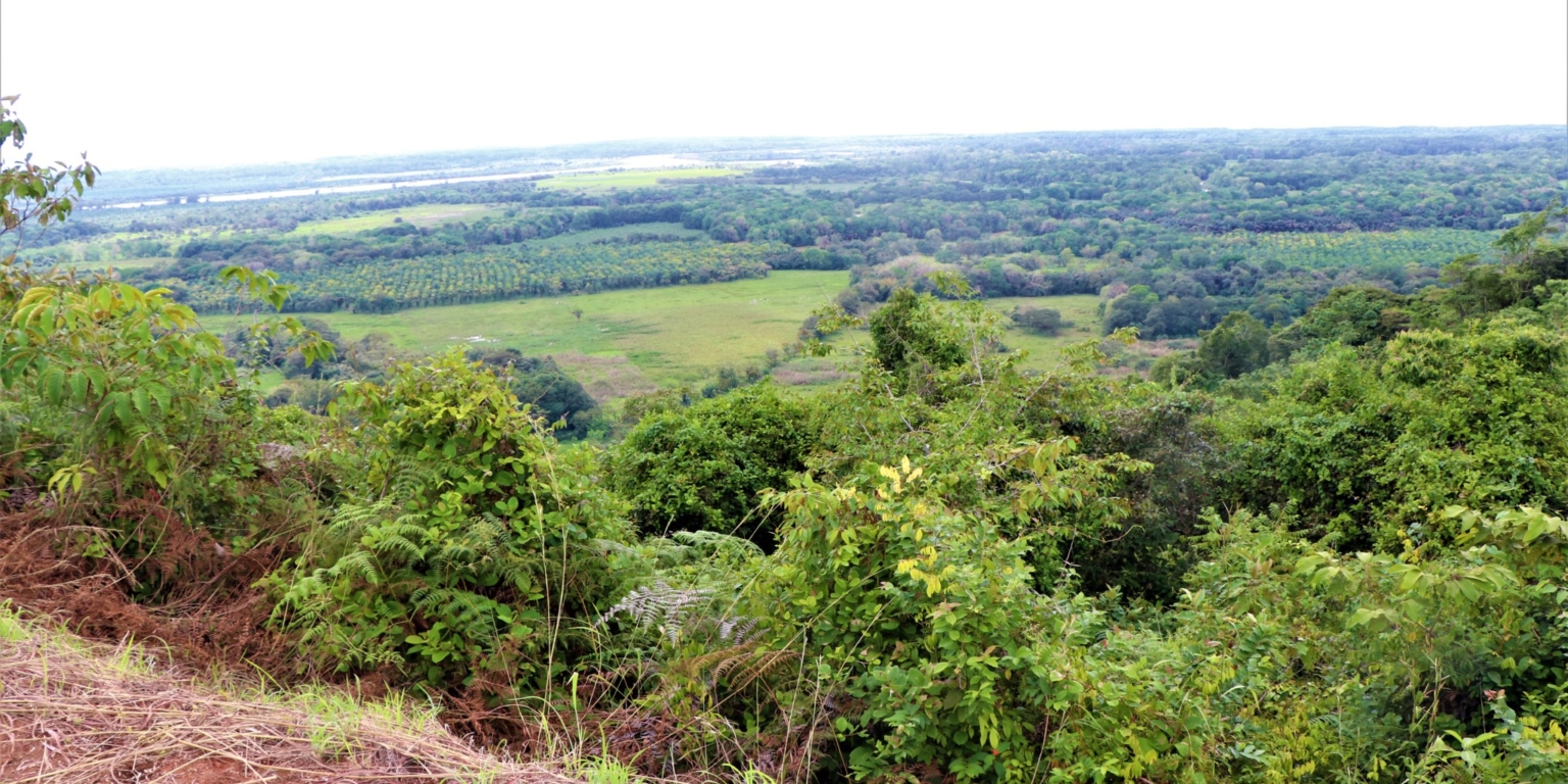 Expansive 9+ Acre Land with 360 Panoramic Views & Highway Frontage Perfect for Resort or Multiple Homes South of Ojochal Costa Rica