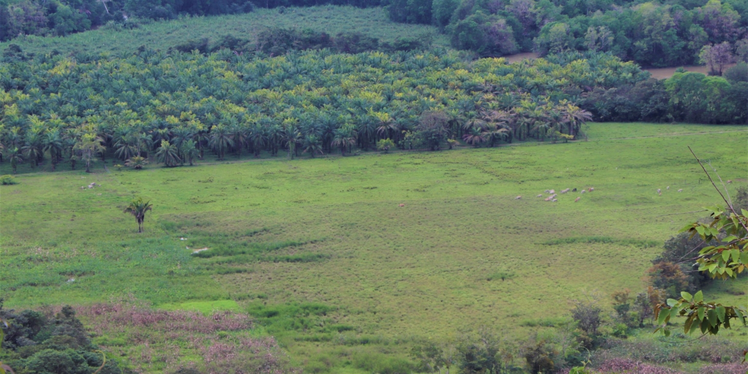 Expansive 9+ Acre Land with 360 Panoramic Views & Highway Frontage Perfect for Resort or Multiple Homes South of Ojochal Costa Rica