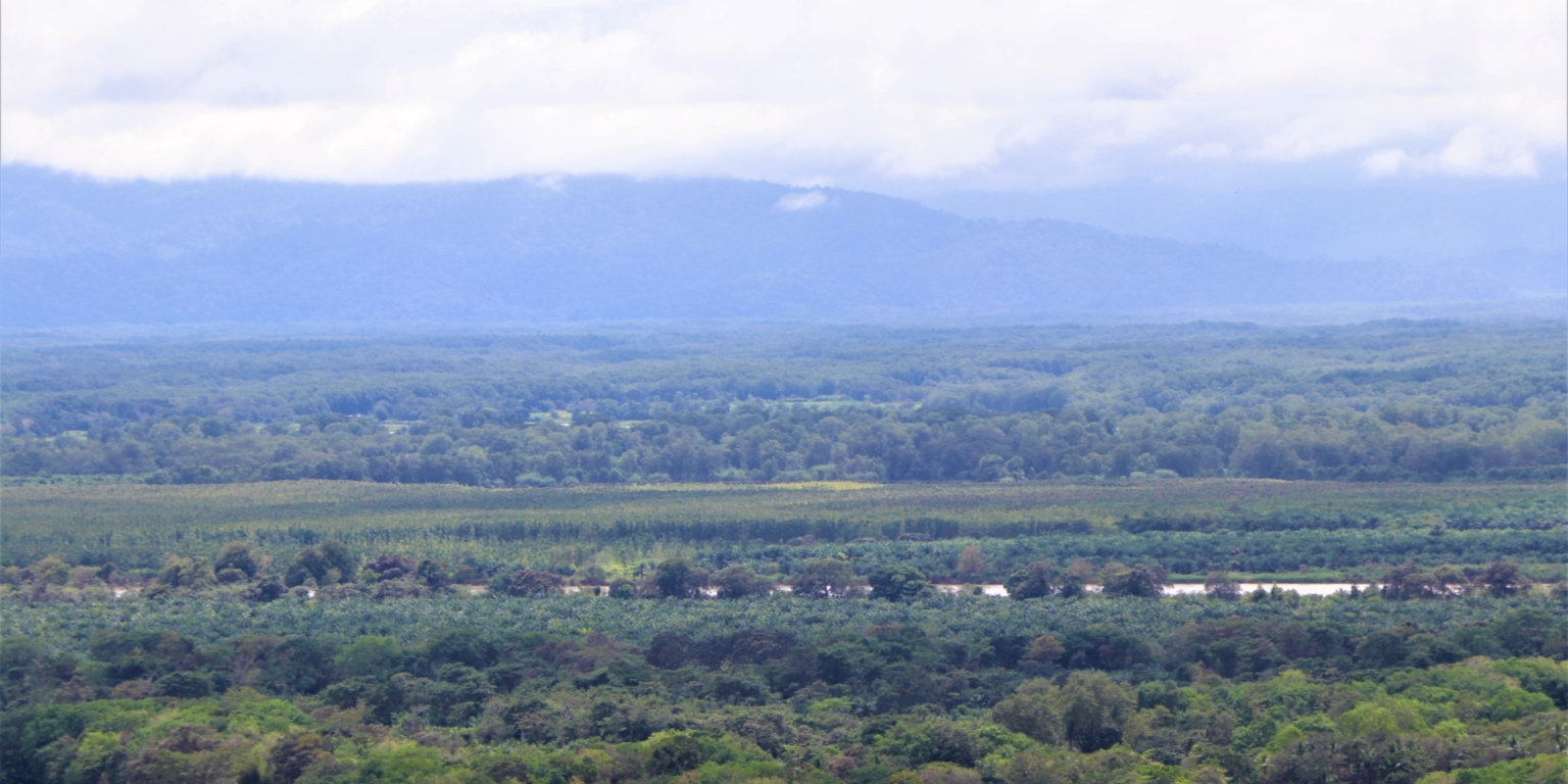 Expansive 9+ Acre Land with 360 Panoramic Views & Highway Frontage Perfect for Resort or Multiple Homes South of Ojochal Costa Rica