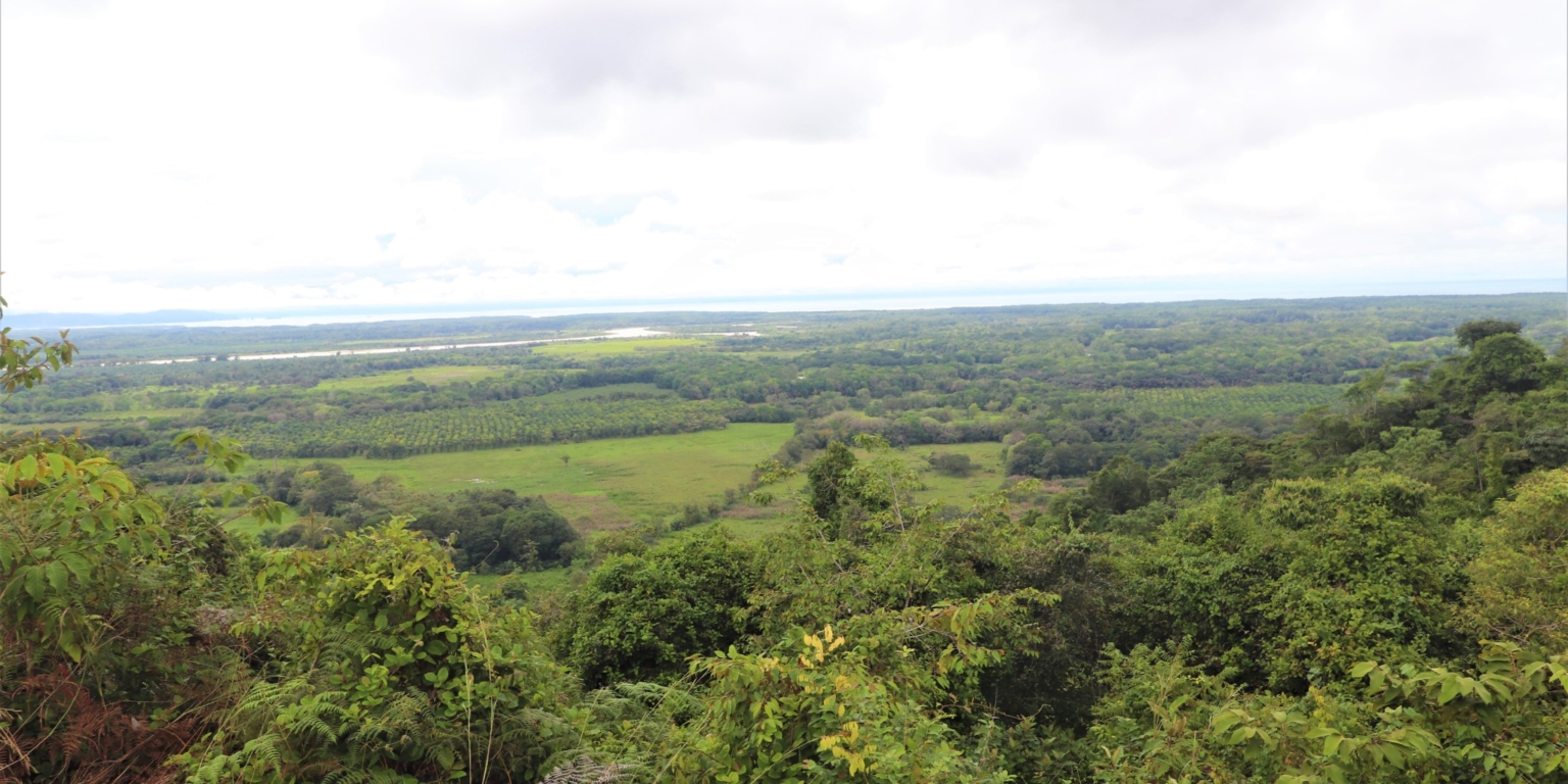 Expansive 9+ Acre Land with 360 Panoramic Views & Highway Frontage Perfect for Resort or Multiple Homes South of Ojochal Costa Rica