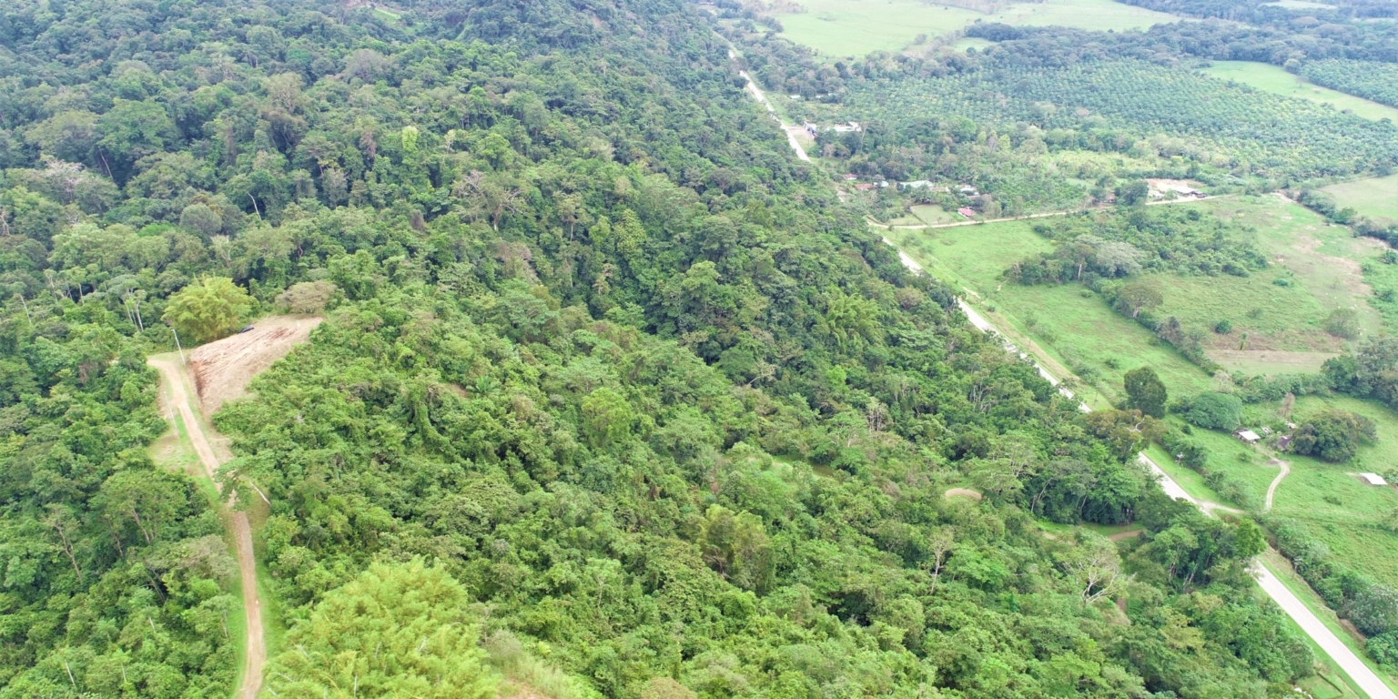 Expansive 9+ Acre Land with 360 Panoramic Views & Highway Frontage Perfect for Resort or Multiple Homes South of Ojochal Costa Rica