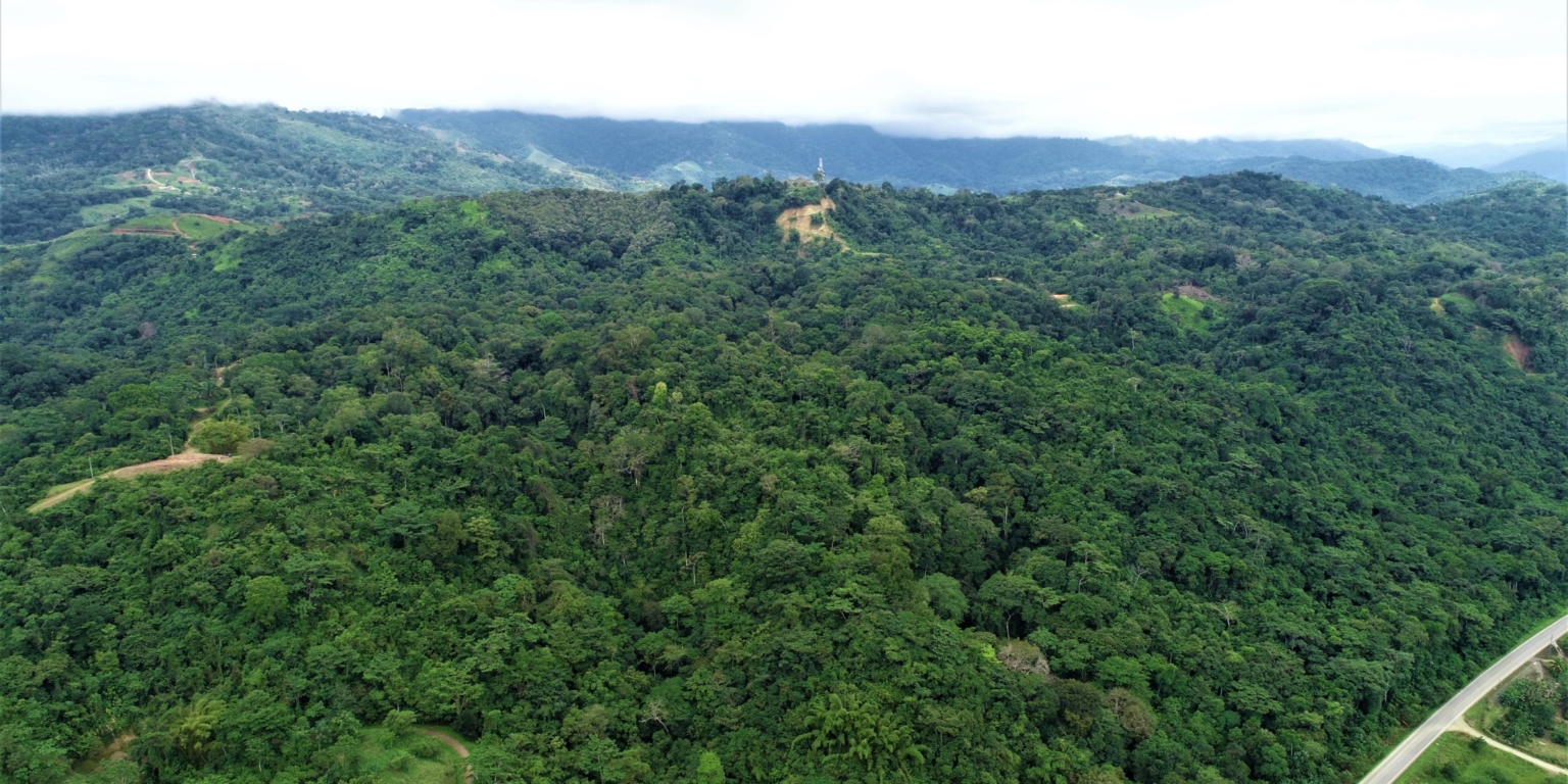 Expansive 9+ Acre Land with 360 Panoramic Views & Highway Frontage Perfect for Resort or Multiple Homes South of Ojochal Costa Rica