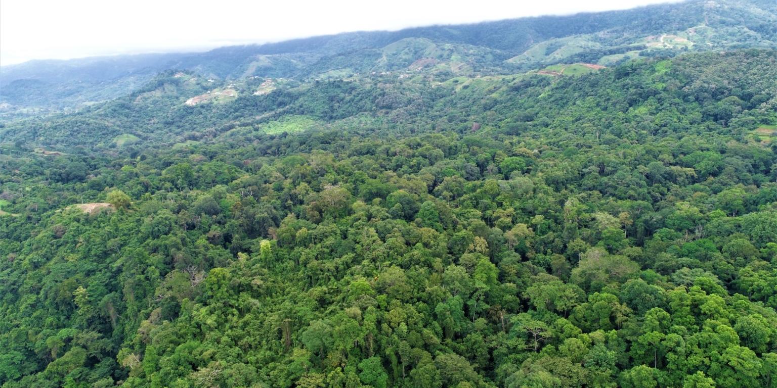 Expansive 9+ Acre Land with 360 Panoramic Views & Highway Frontage Perfect for Resort or Multiple Homes South of Ojochal Costa Rica