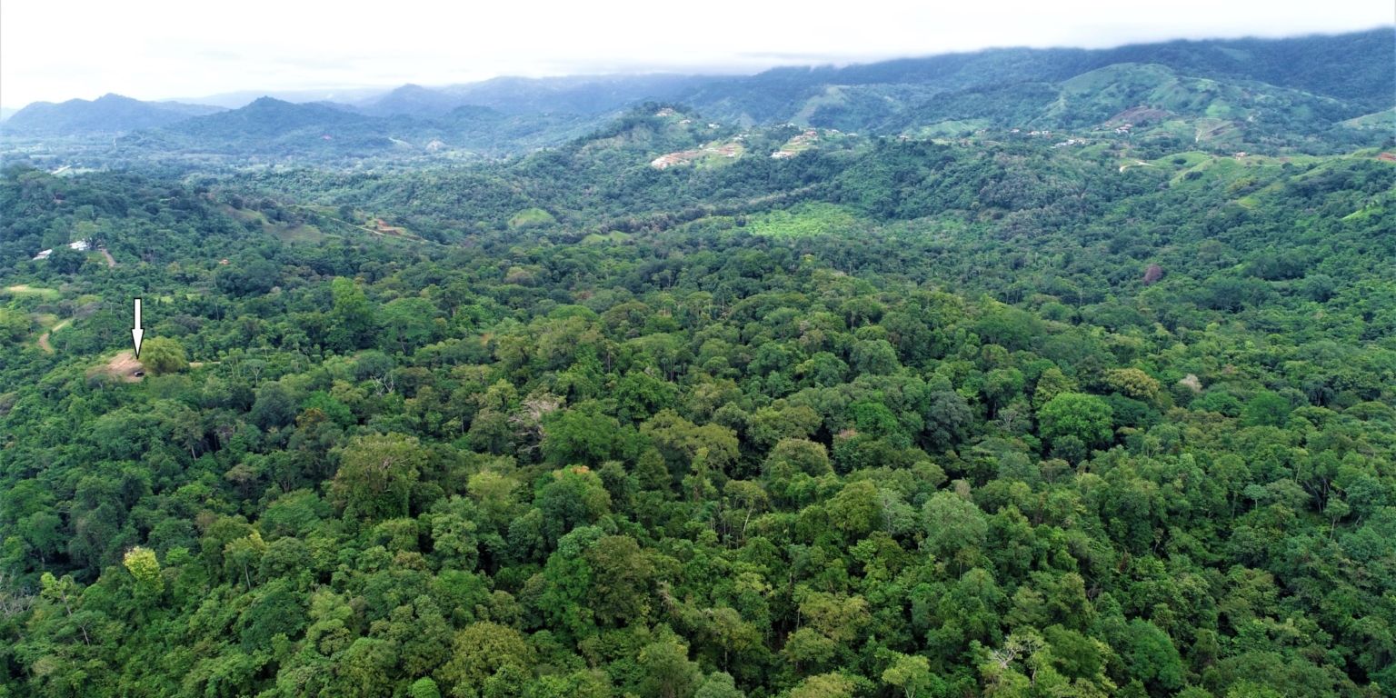 Expansive 9+ Acre Land with 360 Panoramic Views & Highway Frontage Perfect for Resort or Multiple Homes South of Ojochal Costa Rica