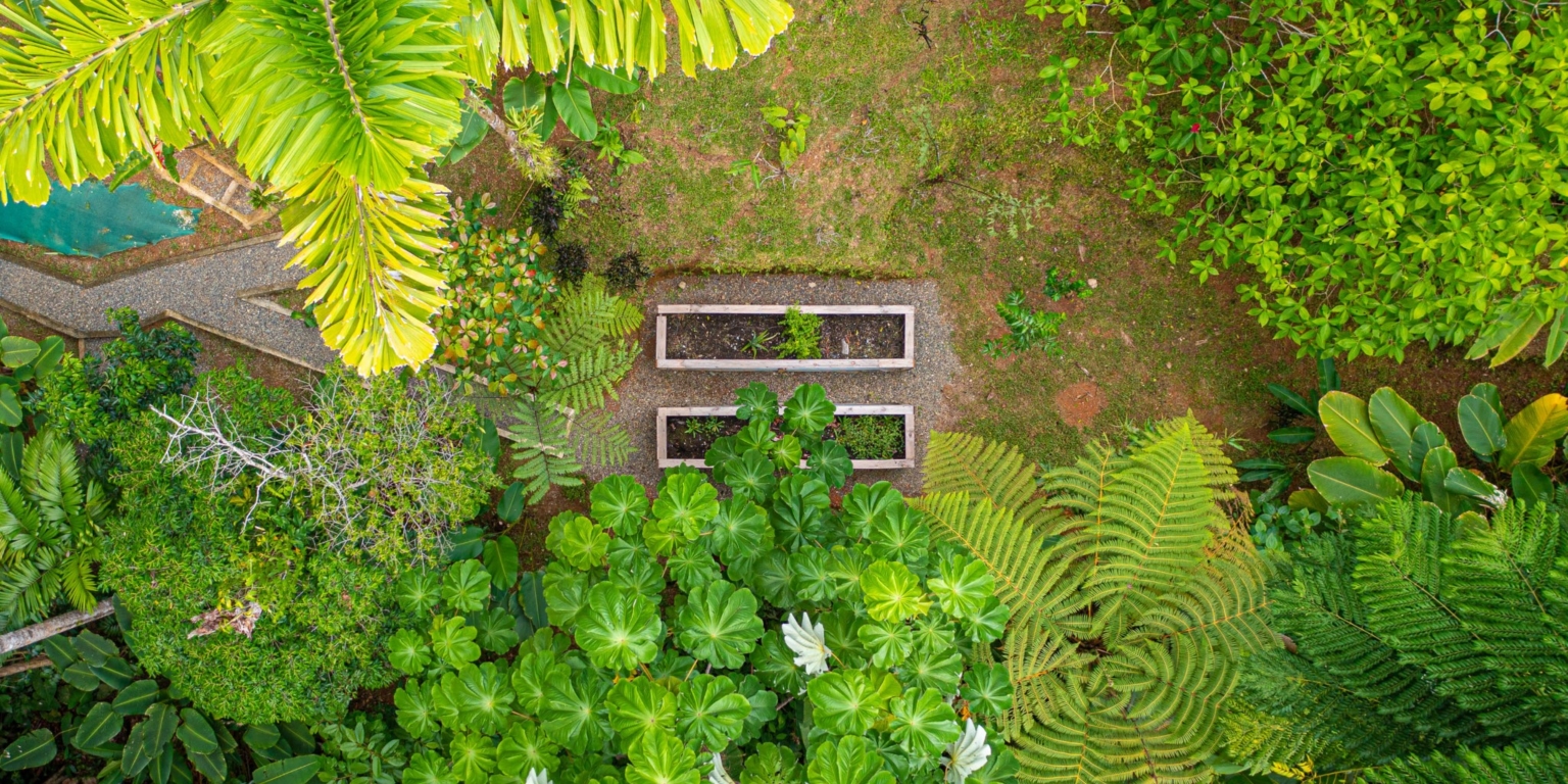 Luxury 4-Bedroom Home with Ocean View & Incredible Jungle Surroundings in Tropical Elegance above Uvita Costa Rica