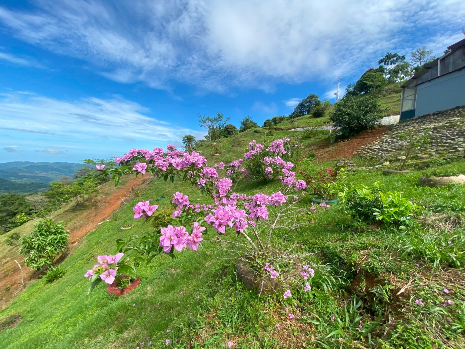 Josue Navarro 30 Incredible Mountain & Ocean Views with Two Cabins, Many Fruit Trees & More Building Areas on Top of the Mountains in Tinamastes Costa Rica