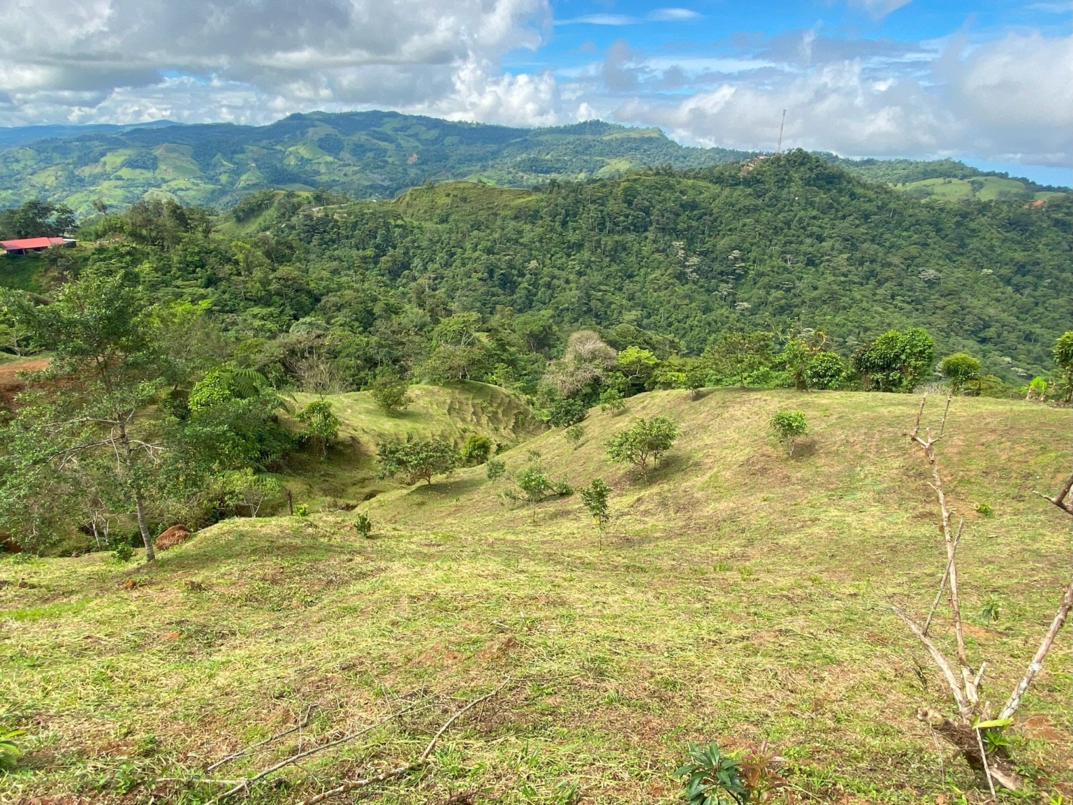 Josue Navarro 28 Incredible Mountain & Ocean Views with Two Cabins, Many Fruit Trees & More Building Areas on Top of the Mountains in Tinamastes Costa Rica