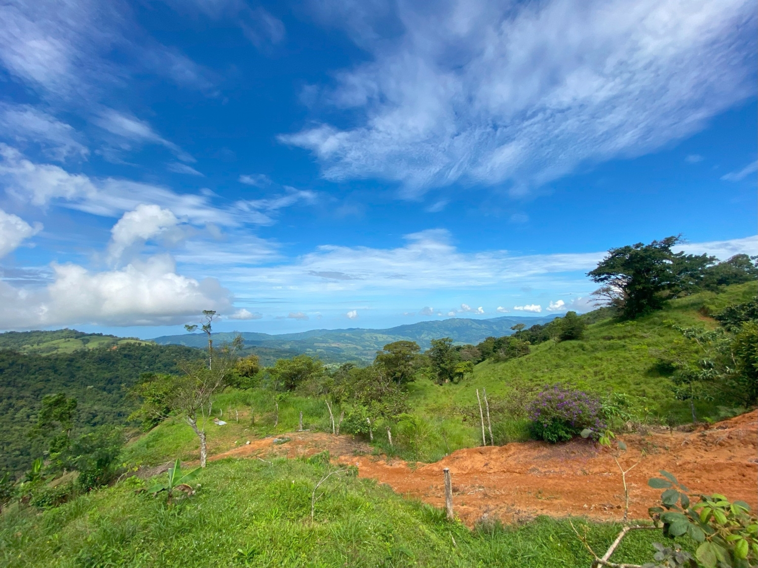 Josue Navarro 27 Incredible Mountain & Ocean Views with Two Cabins, Many Fruit Trees & More Building Areas on Top of the Mountains in Tinamastes Costa Rica