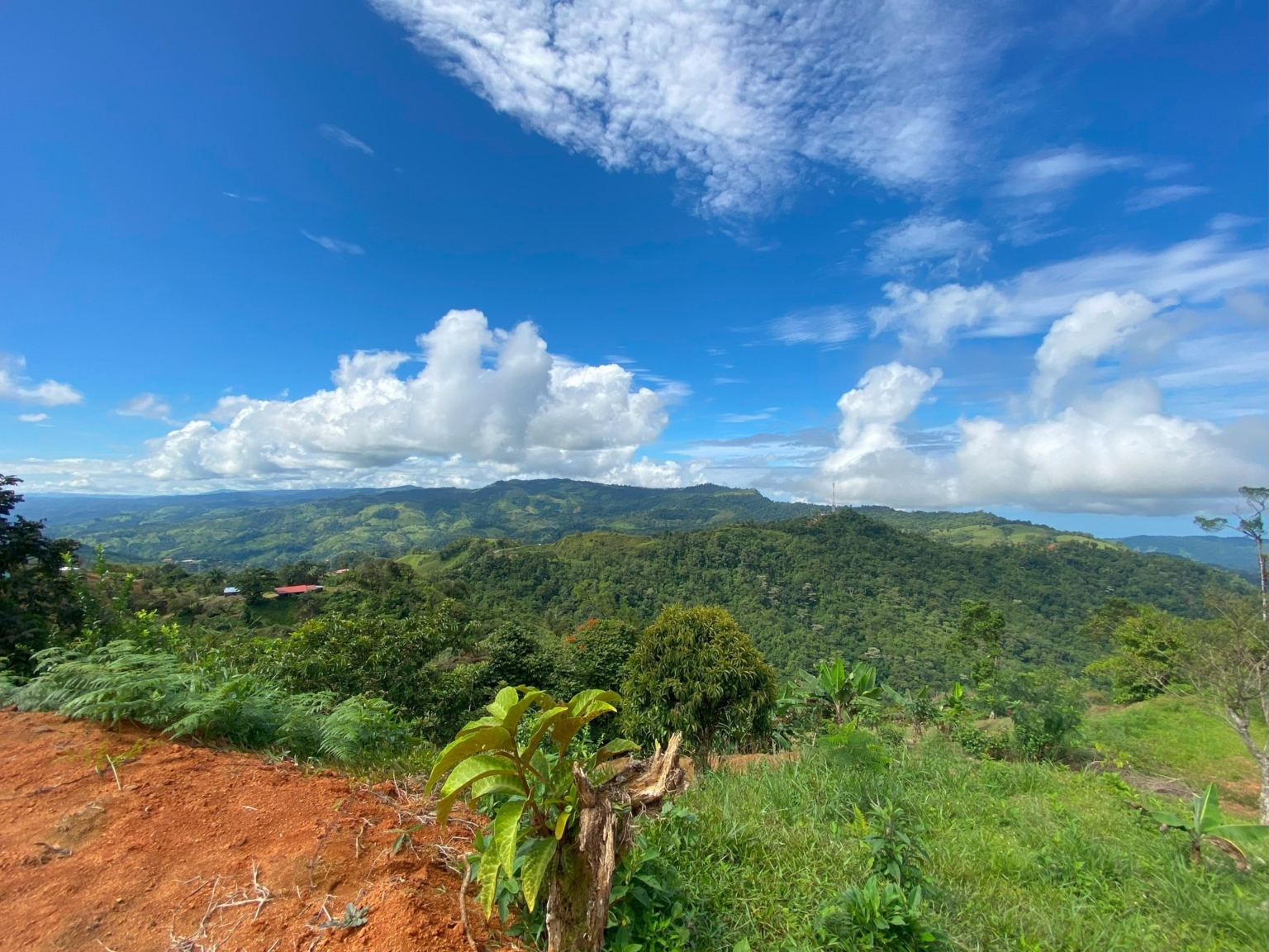 Josue Navarro 26 Incredible Mountain & Ocean Views with Two Cabins, Many Fruit Trees & More Building Areas on Top of the Mountains in Tinamastes Costa Rica