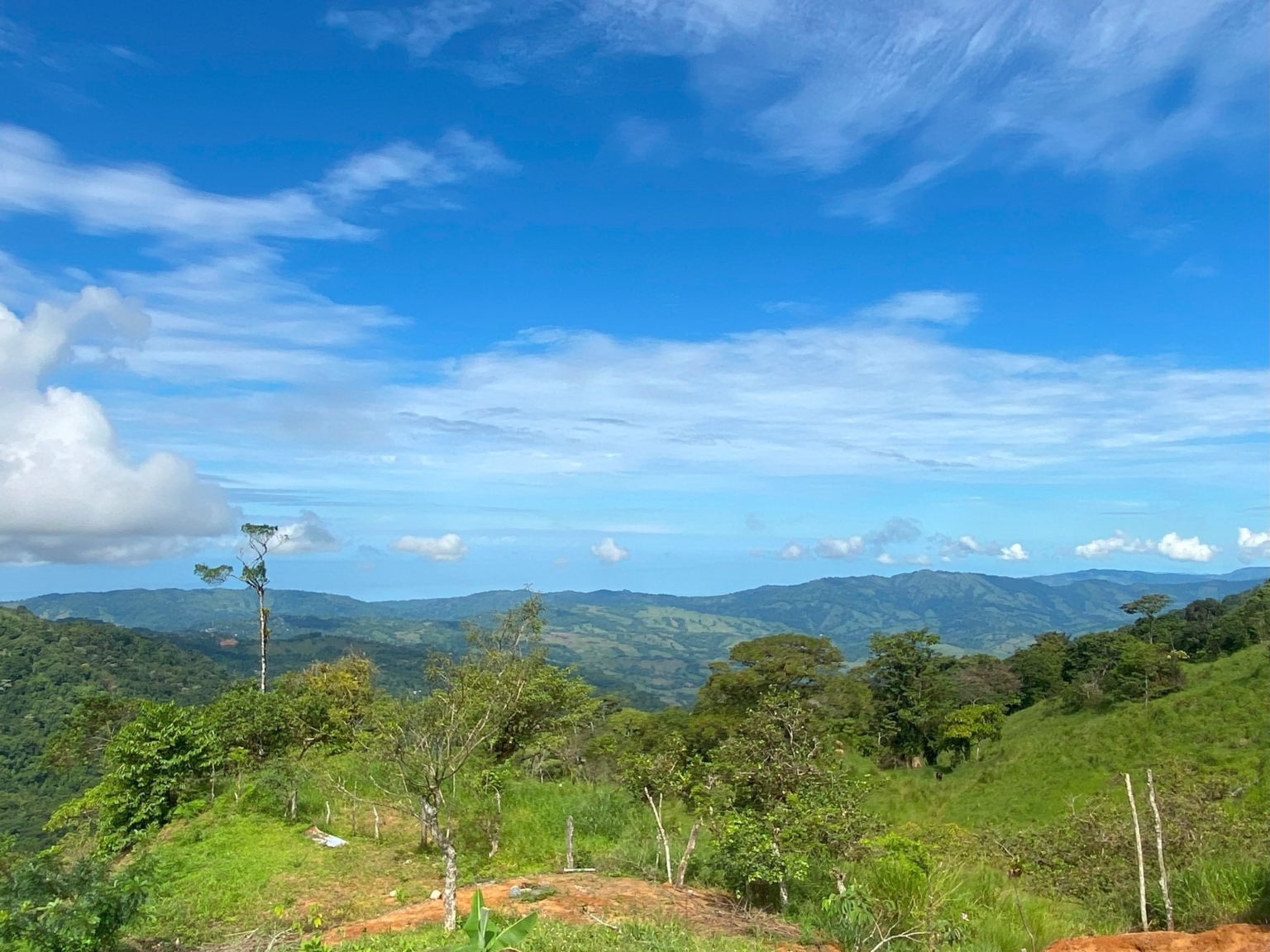 Josue Navarro 24 Incredible Mountain & Ocean Views with Two Cabins, Many Fruit Trees & More Building Areas on Top of the Mountains in Tinamastes Costa Rica