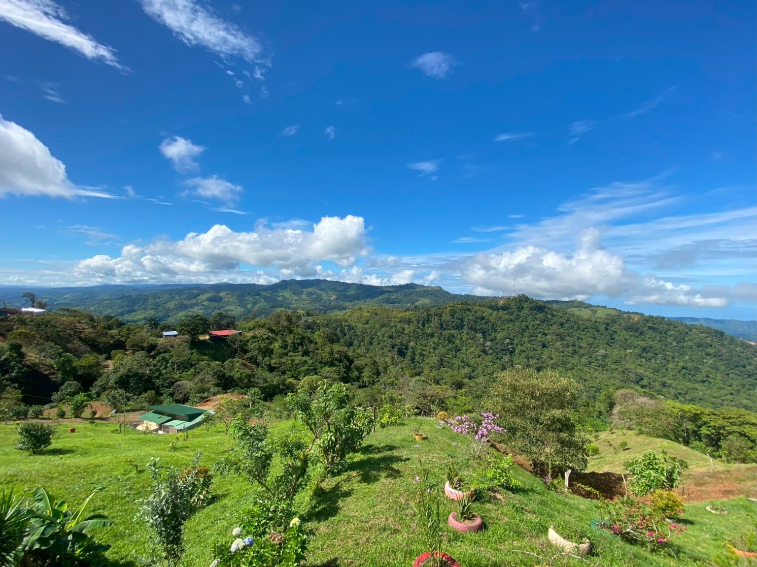 Josue Navarro 21 Incredible Mountain & Ocean Views with Two Cabins, Many Fruit Trees & More Building Areas on Top of the Mountains in Tinamastes Costa Rica