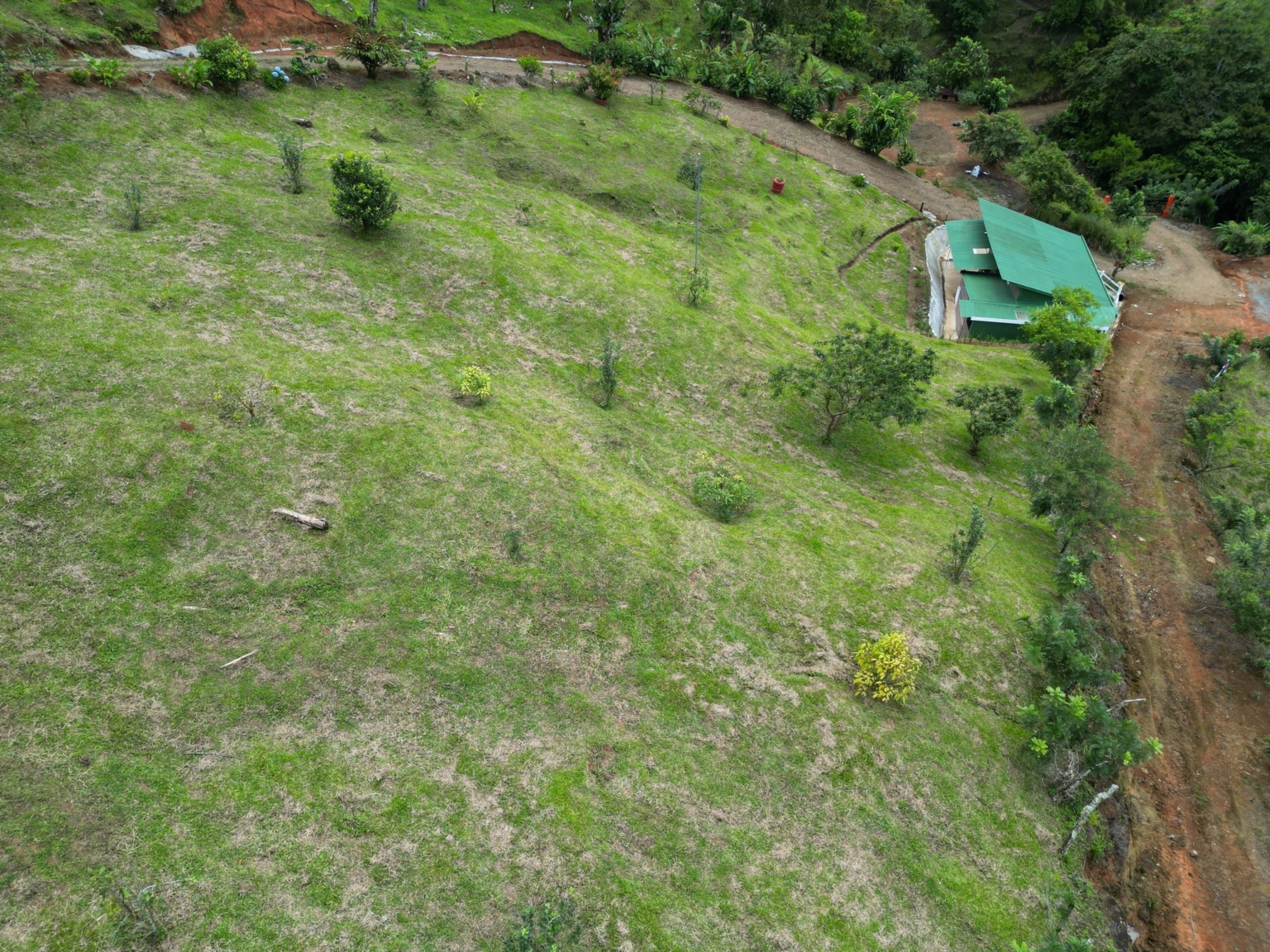 Josue Navarro 20 Incredible Mountain & Ocean Views with Two Cabins, Many Fruit Trees & More Building Areas on Top of the Mountains in Tinamastes Costa Rica