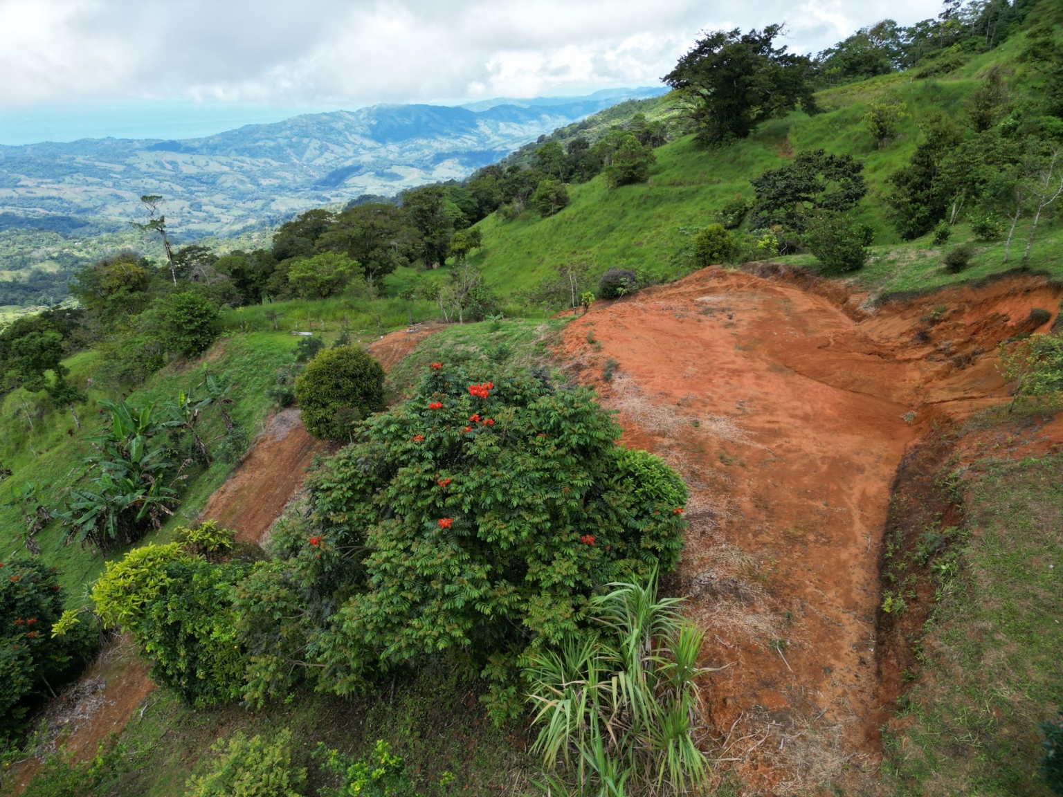 Josue Navarro 19 Incredible Mountain & Ocean Views with Two Cabins, Many Fruit Trees & More Building Areas on Top of the Mountains in Tinamastes Costa Rica