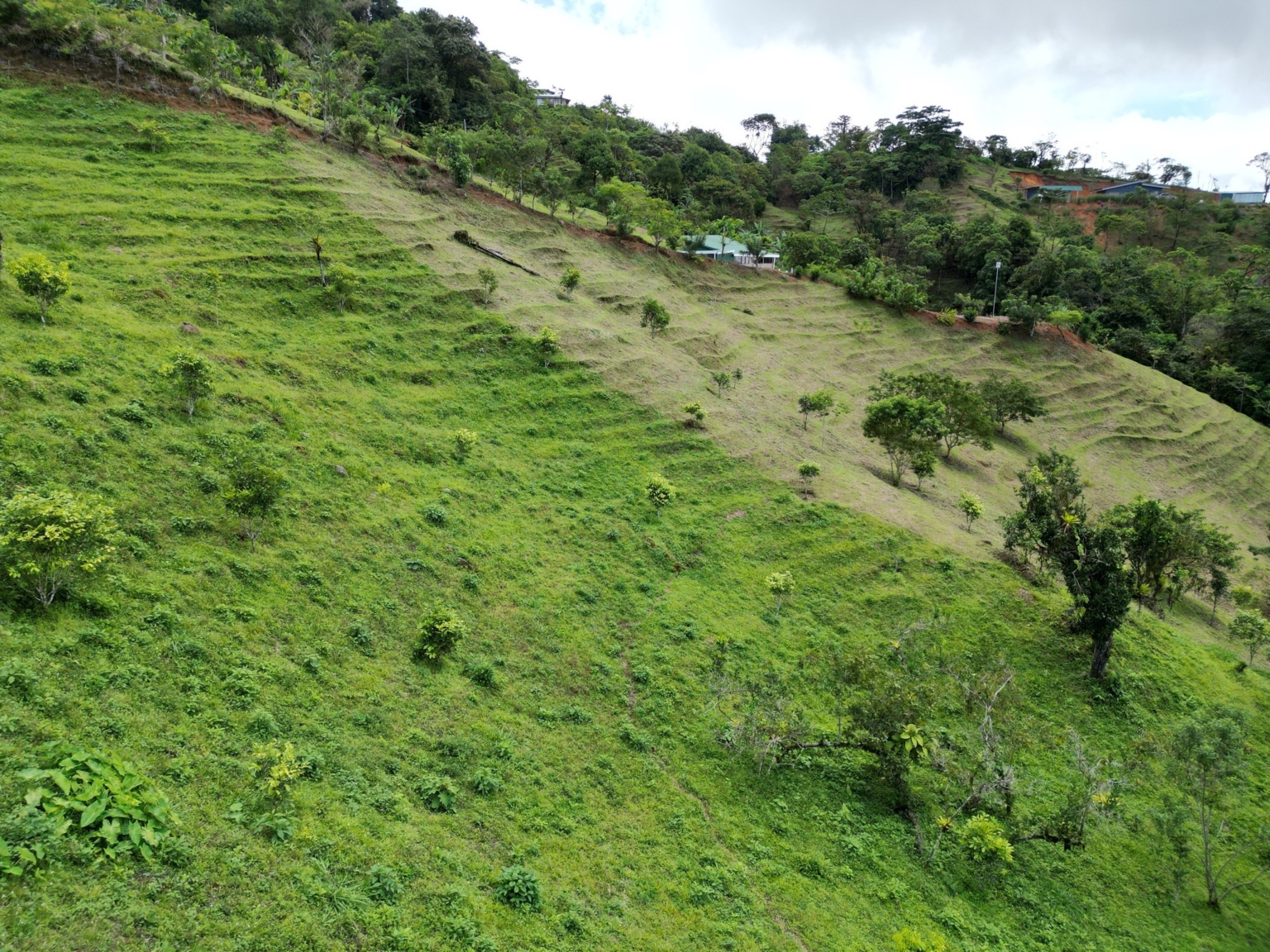 Josue Navarro 17 Incredible Mountain & Ocean Views with Two Cabins, Many Fruit Trees & More Building Areas on Top of the Mountains in Tinamastes Costa Rica