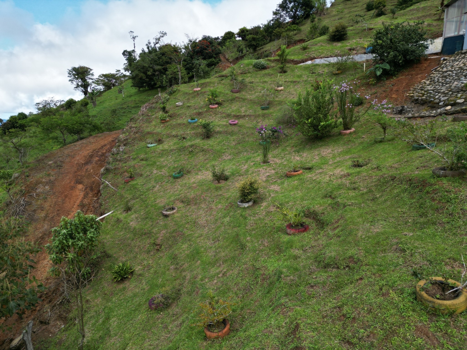 Josue Navarro 16 Incredible Mountain & Ocean Views with Two Cabins, Many Fruit Trees & More Building Areas on Top of the Mountains in Tinamastes Costa Rica