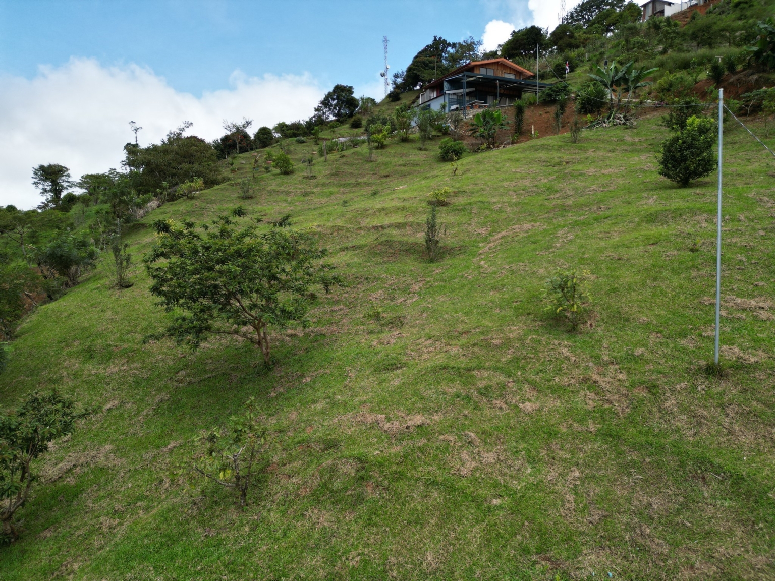 Josue Navarro 15 Incredible Mountain & Ocean Views with Two Cabins, Many Fruit Trees & More Building Areas on Top of the Mountains in Tinamastes Costa Rica