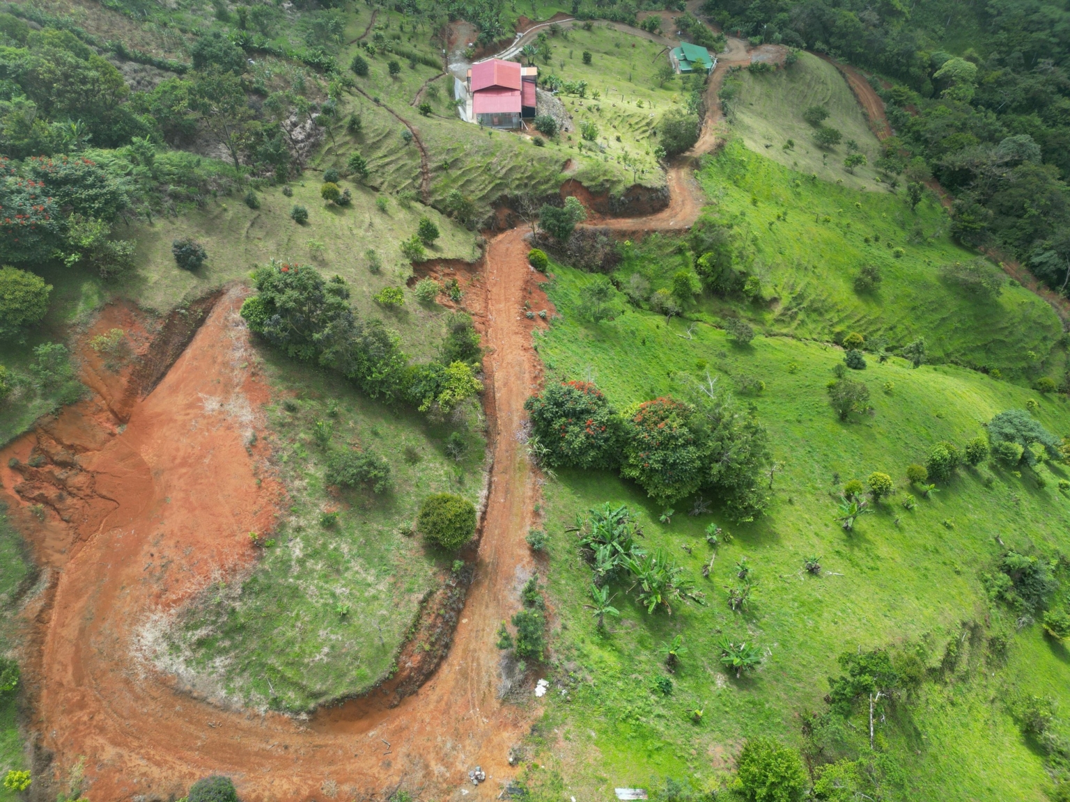 Josue Navarro 05 Incredible Mountain & Ocean Views with Two Cabins, Many Fruit Trees & More Building Areas on Top of the Mountains in Tinamastes Costa Rica
