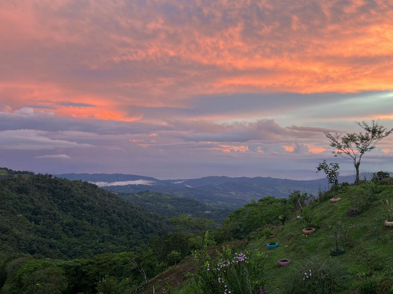 Josue Navarro 03 Incredible Mountain & Ocean Views with Two Cabins, Many Fruit Trees & More Building Areas on Top of the Mountains in Tinamastes Costa Rica