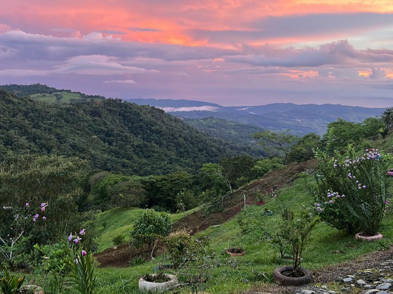 Josue Navarro 02 Incredible Mountain & Ocean Views with Two Cabins, Many Fruit Trees & More Building Areas on Top of the Mountains in Tinamastes Costa Rica