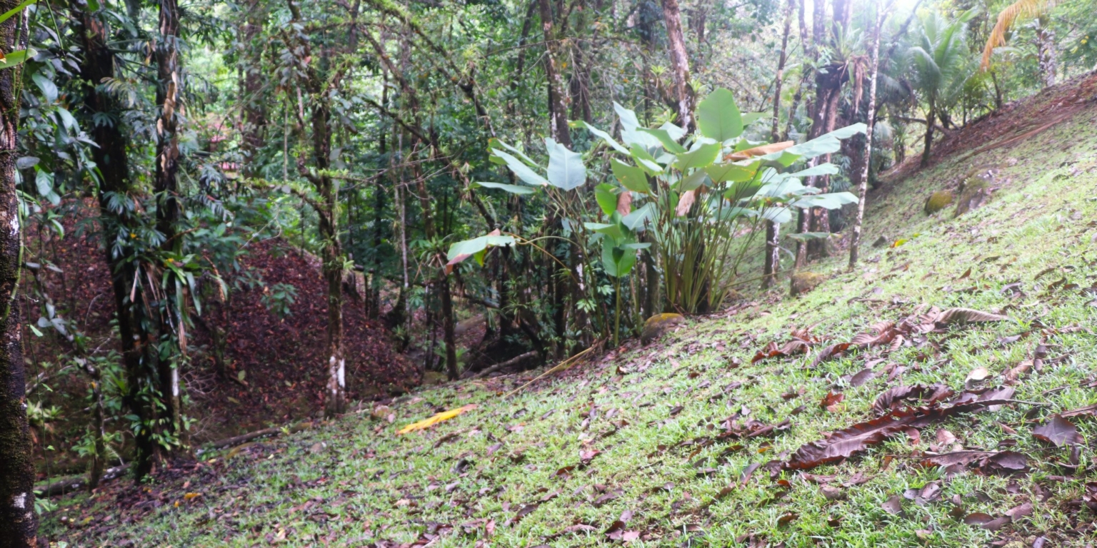 1 (47) Home with 3-Bedrooms with River Border in Easy Access Location in Ojochal Costa Rica