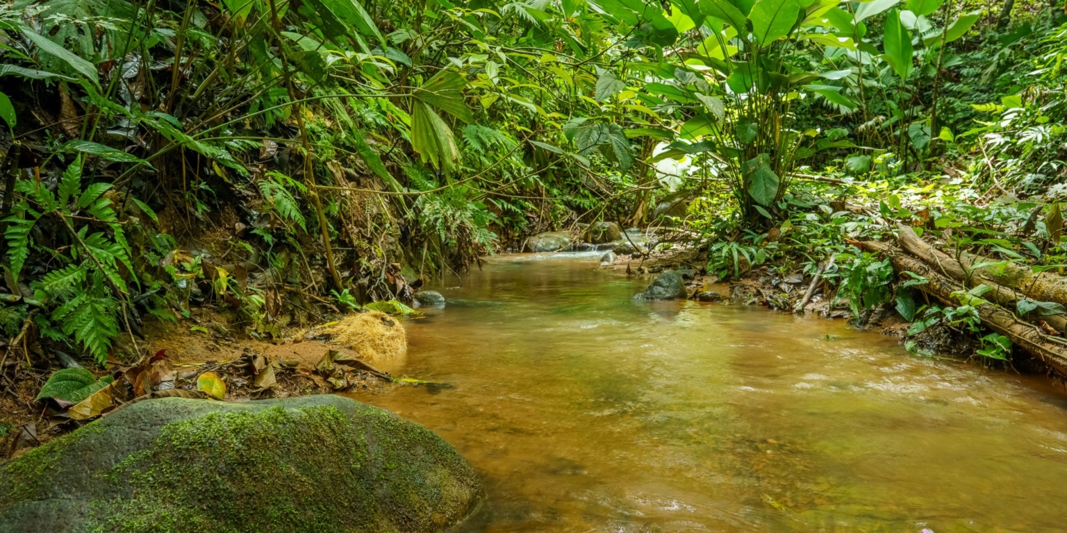Beautiful 3-Bedroom Home with Cabin, River & Jungle on a 3 Acre Property in Tres Rios Costa Rica