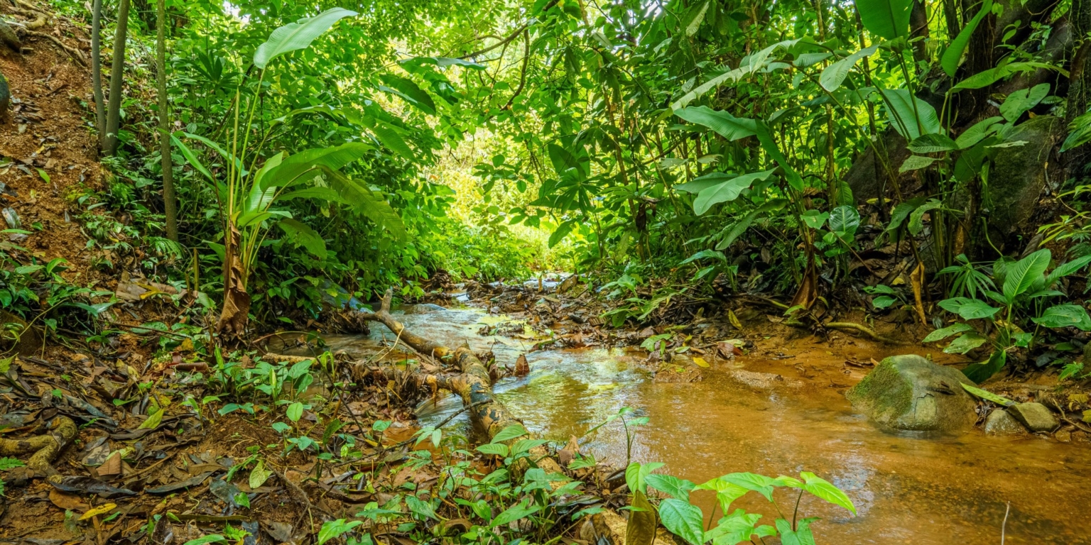 Beautiful 3-Bedroom Home with Cabin, River & Jungle on a 3 Acre Property in Tres Rios Costa Rica