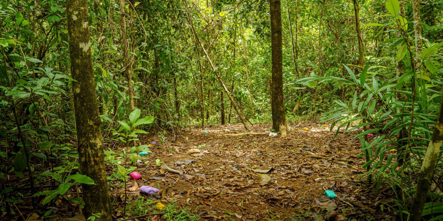 Beautiful 3-Bedroom Home with Cabin, River & Jungle on a 3 Acre Property in Tres Rios Costa Rica