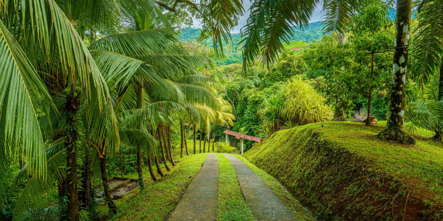 Beautiful 3-Bedroom Home with Cabin, River & Jungle on a 3 Acre Property in Tres Rios Costa Rica