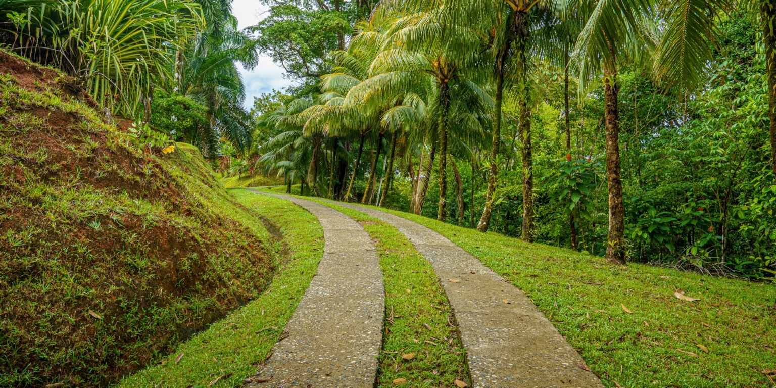 Beautiful 3-Bedroom Home with Cabin, River & Jungle on a 3 Acre Property in Tres Rios Costa Rica