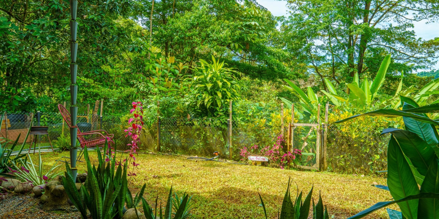 Beautiful 3-Bedroom Home with Cabin, River & Jungle on a 3 Acre Property in Tres Rios Costa Rica